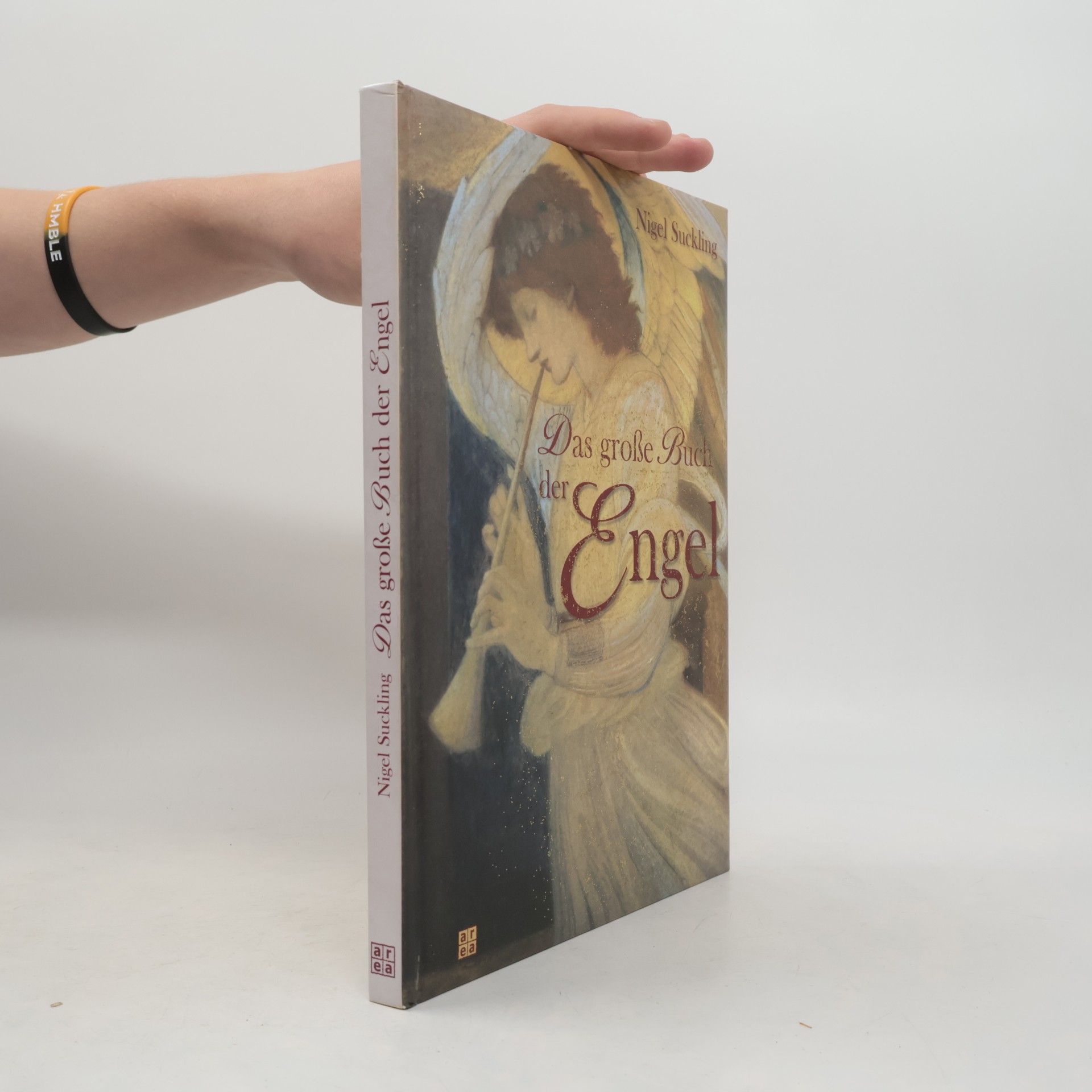 Nigel Suckling Das große Buch der Engel