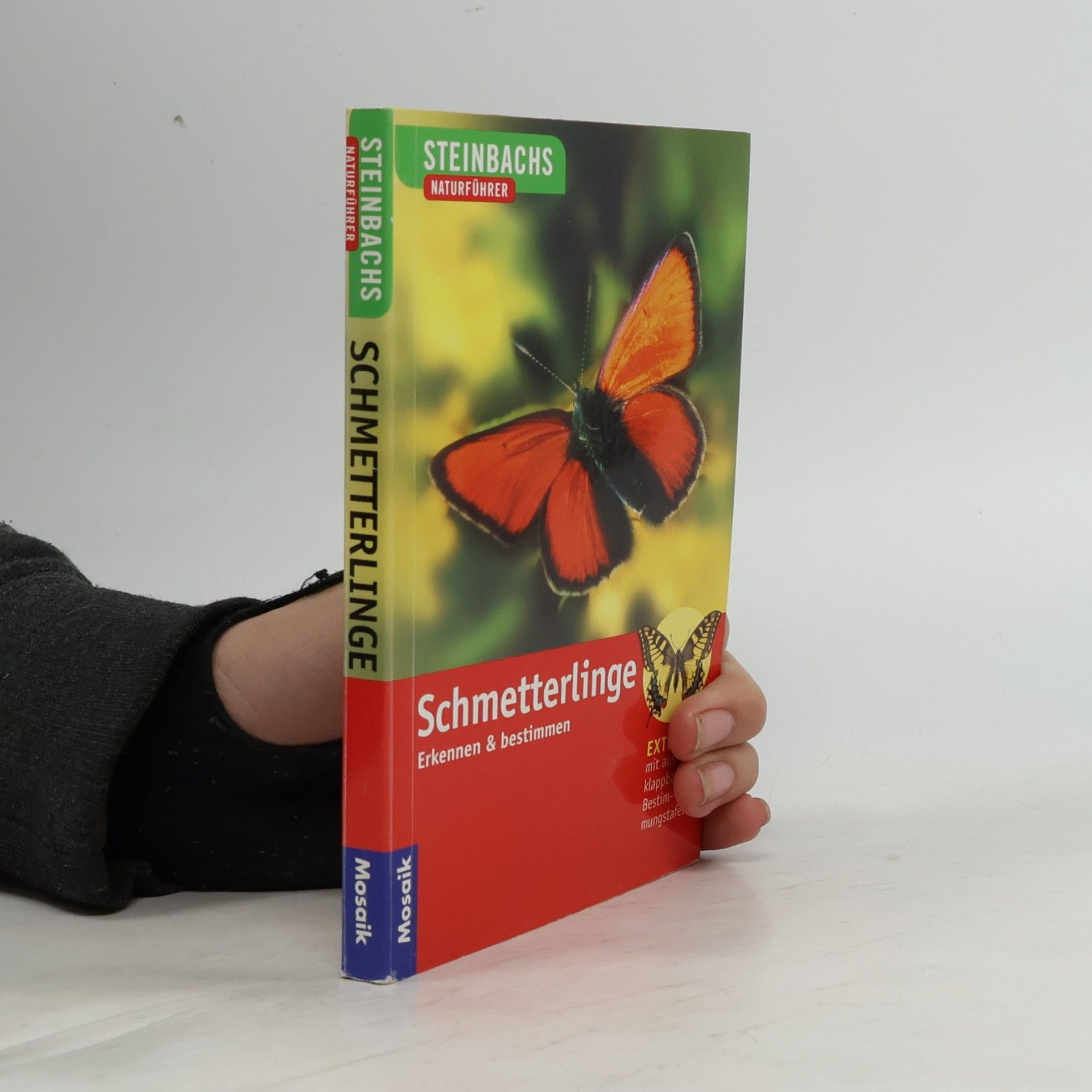 Schmetterlinge