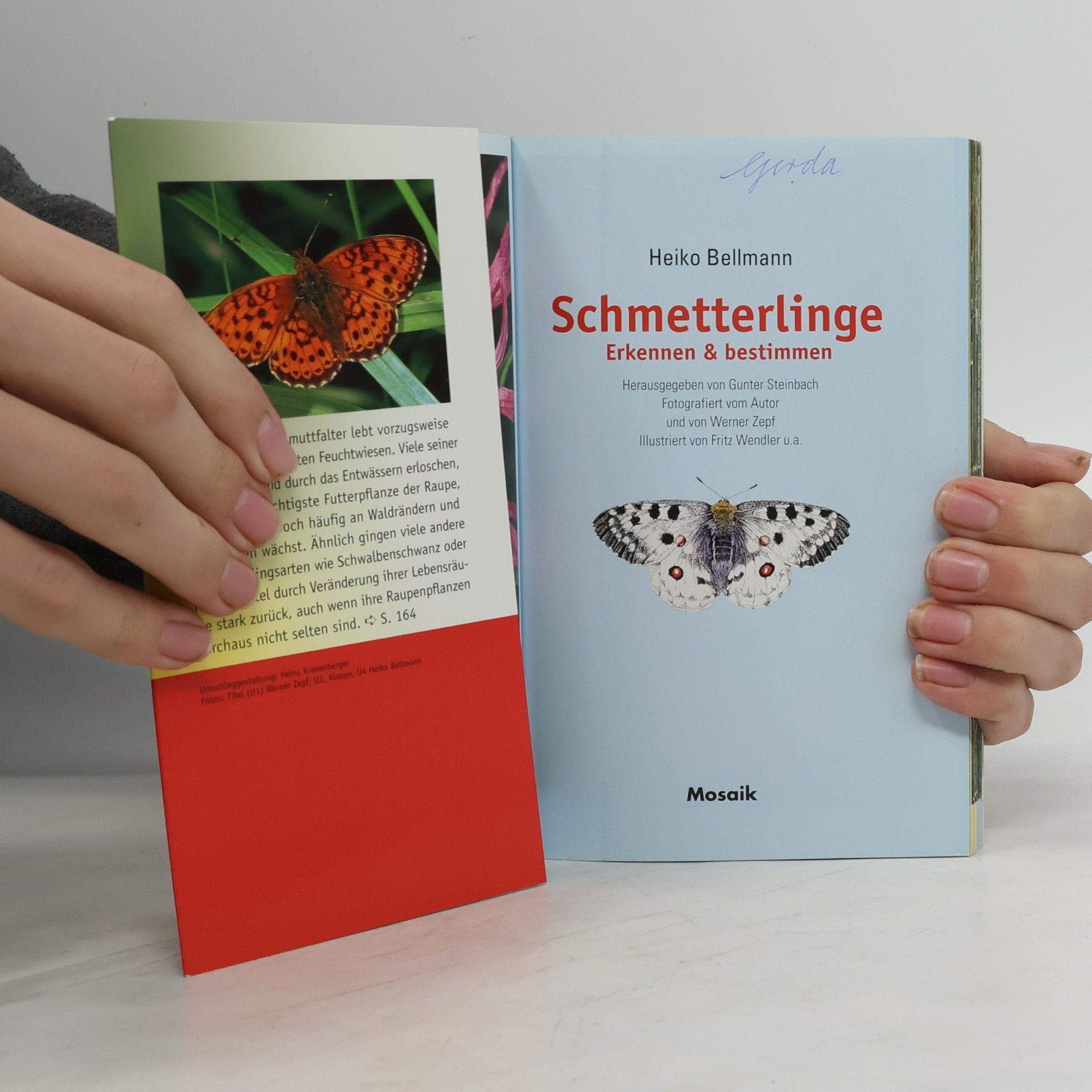 Heiko Bellmann Schmetterlinge