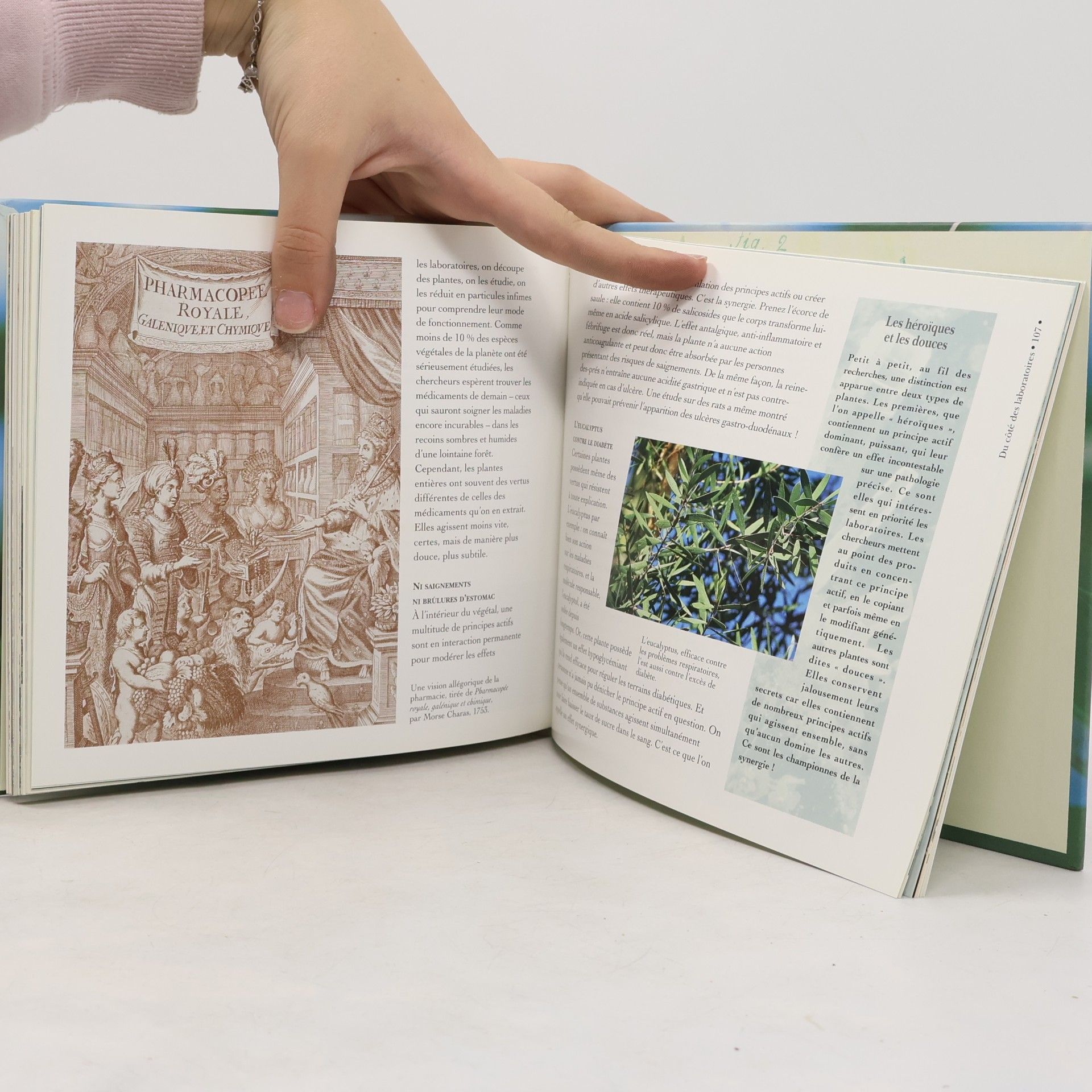 Marie Borrel Les plantes et leurs vertus