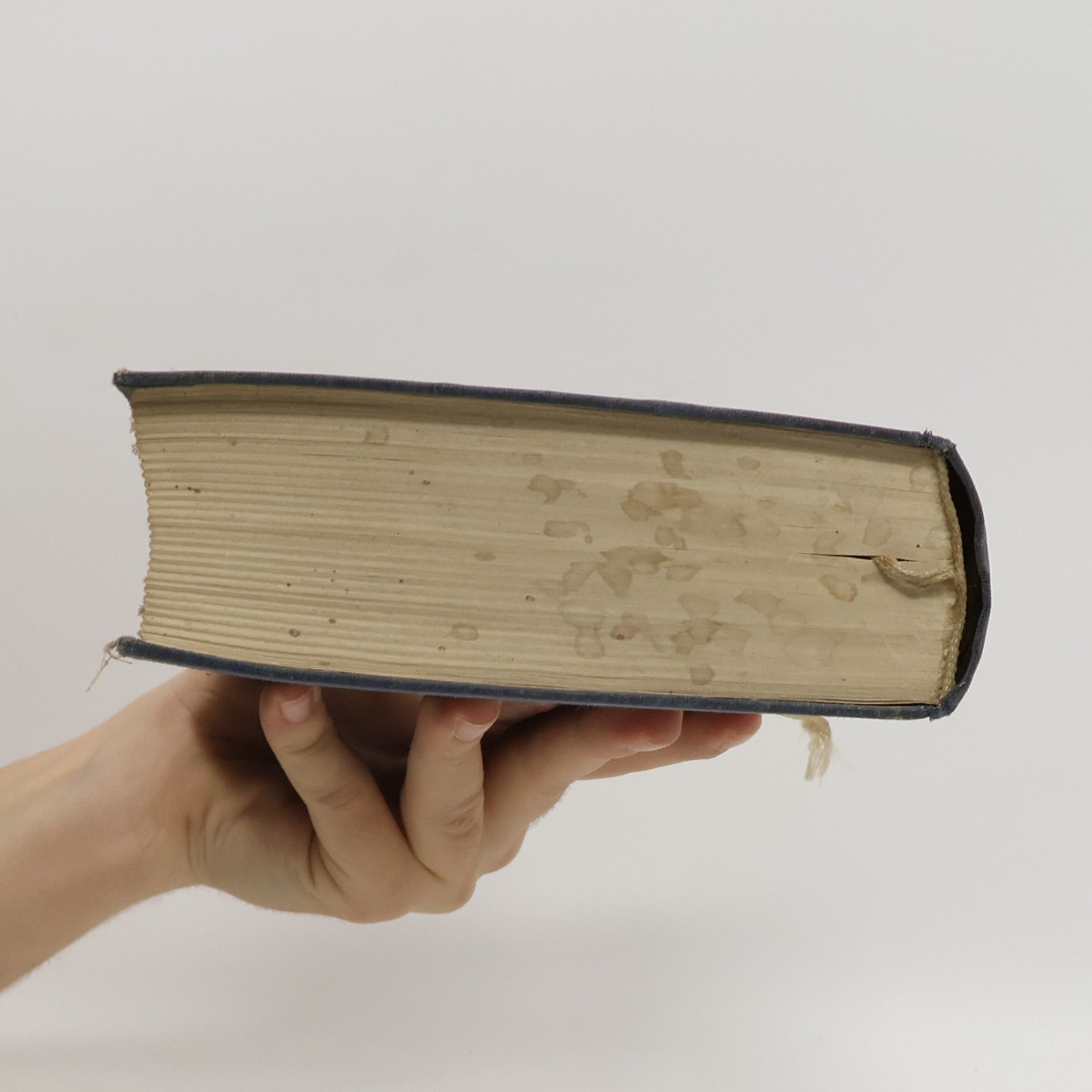 Hermann Engelhard Das Buch der Lieder und Arien