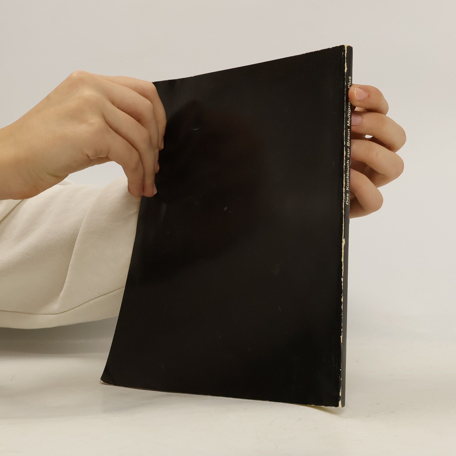 Autorenkollektiv Das Kochbuch zur Braun Multipractic Plus