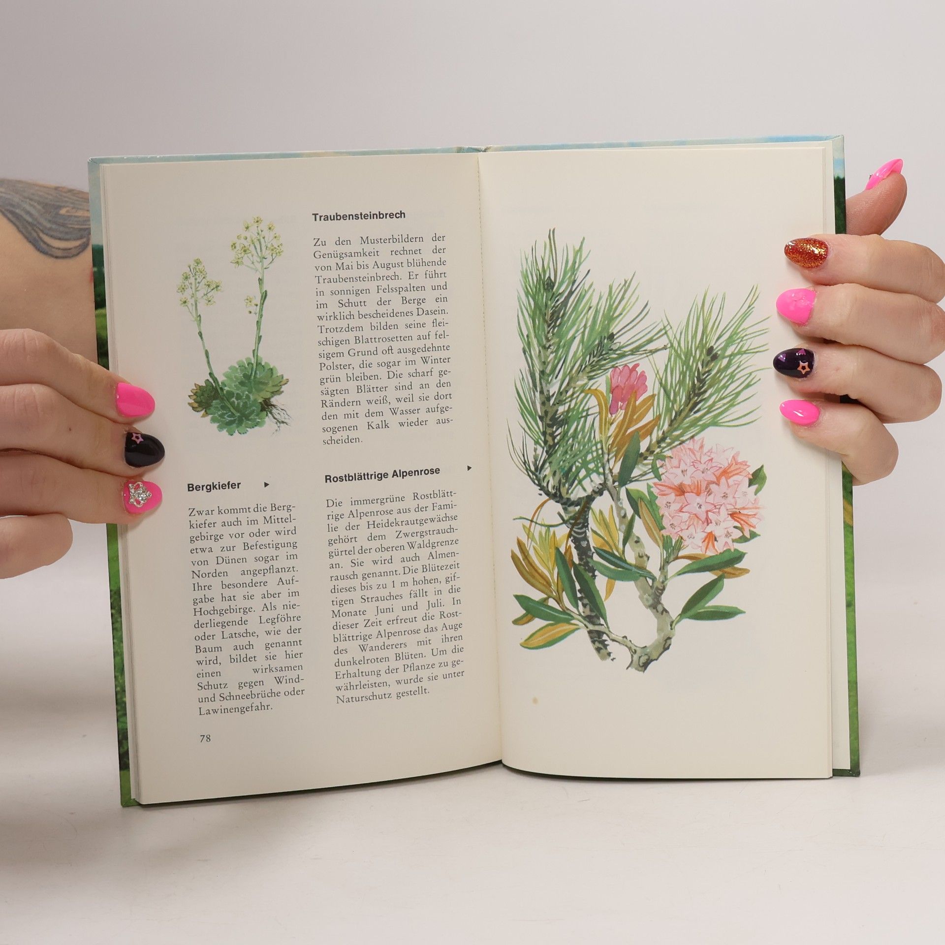 Autorenkollektiv Kleiner Reiseführer für Naturfreunde