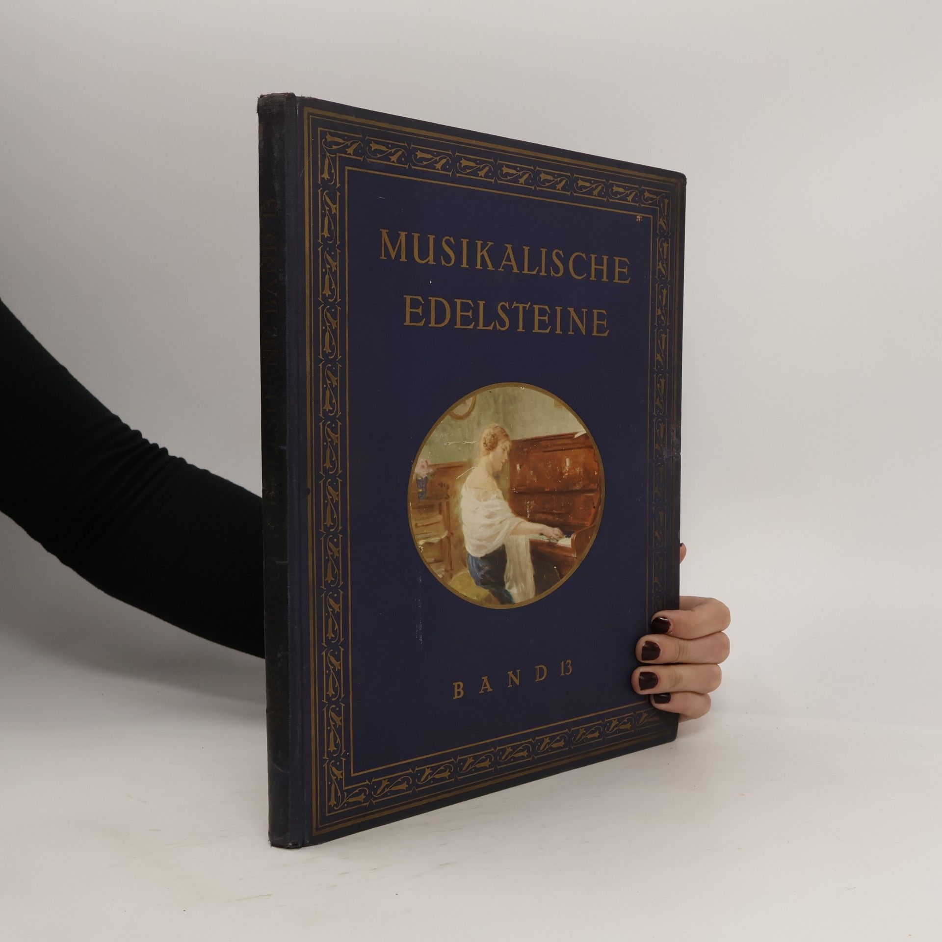 Kolektiv autorů Musikalische Edelsteine. Band 13