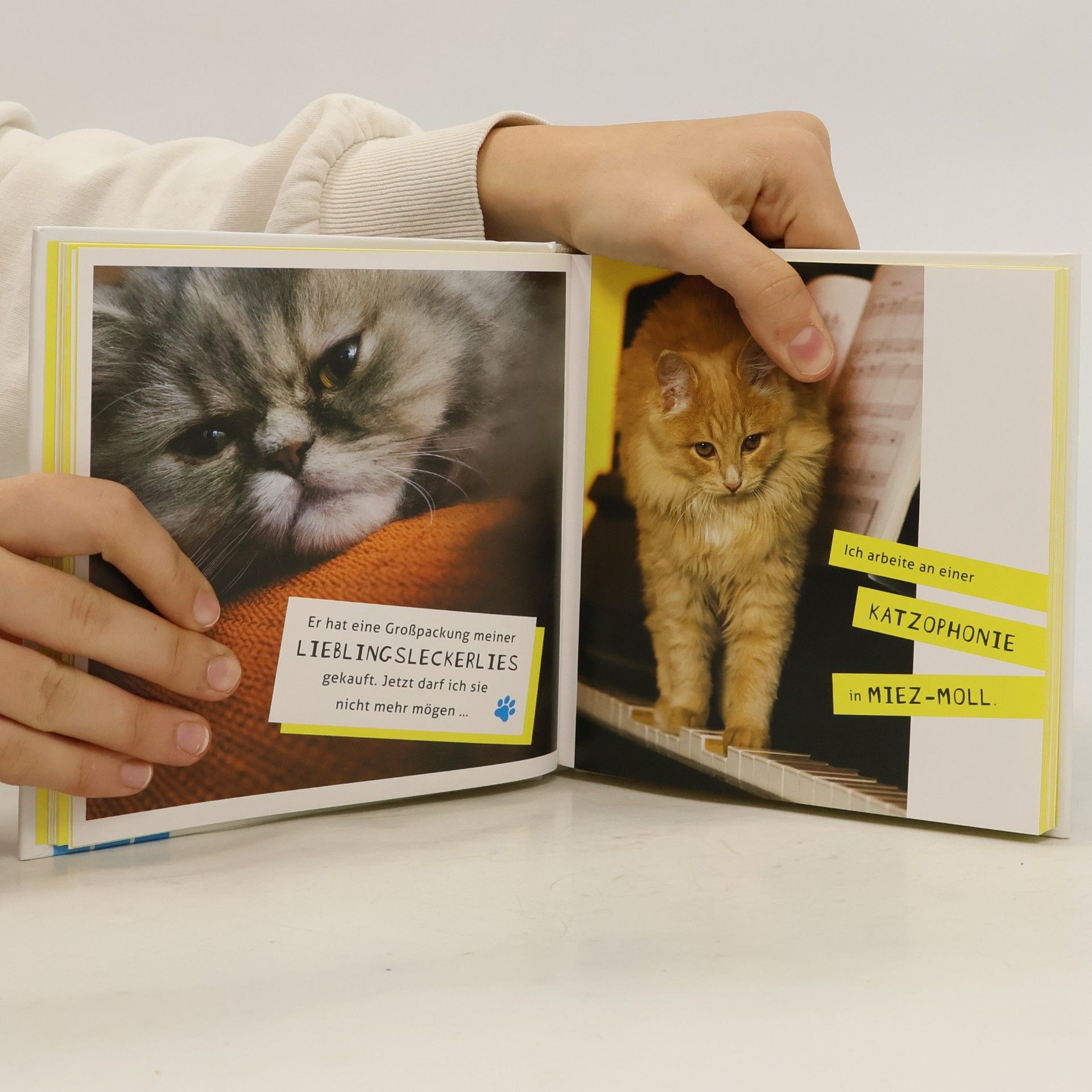 Malcolm Katz Meine Katze ist ein Arschloch - deine auch?