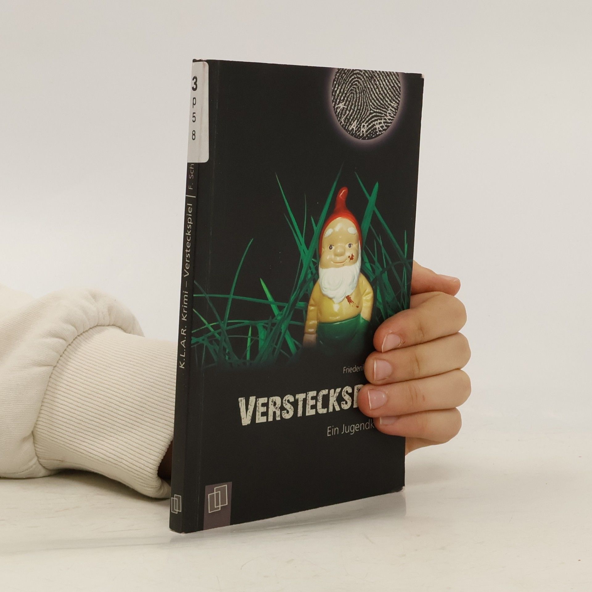 Friederike Schmöe Versteckspiel