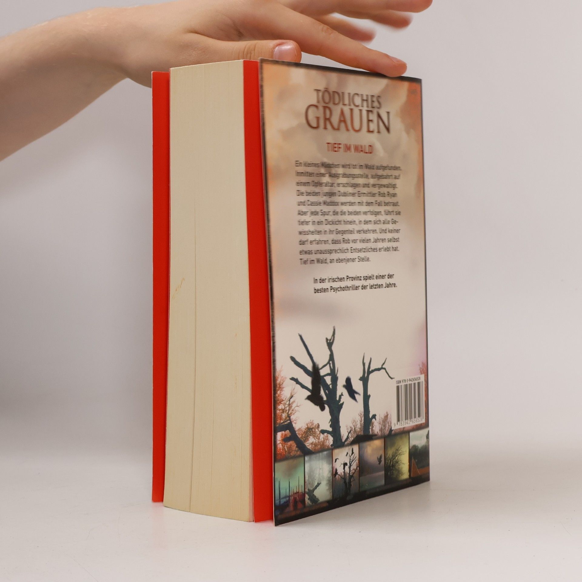 Tana French Grabesgrün