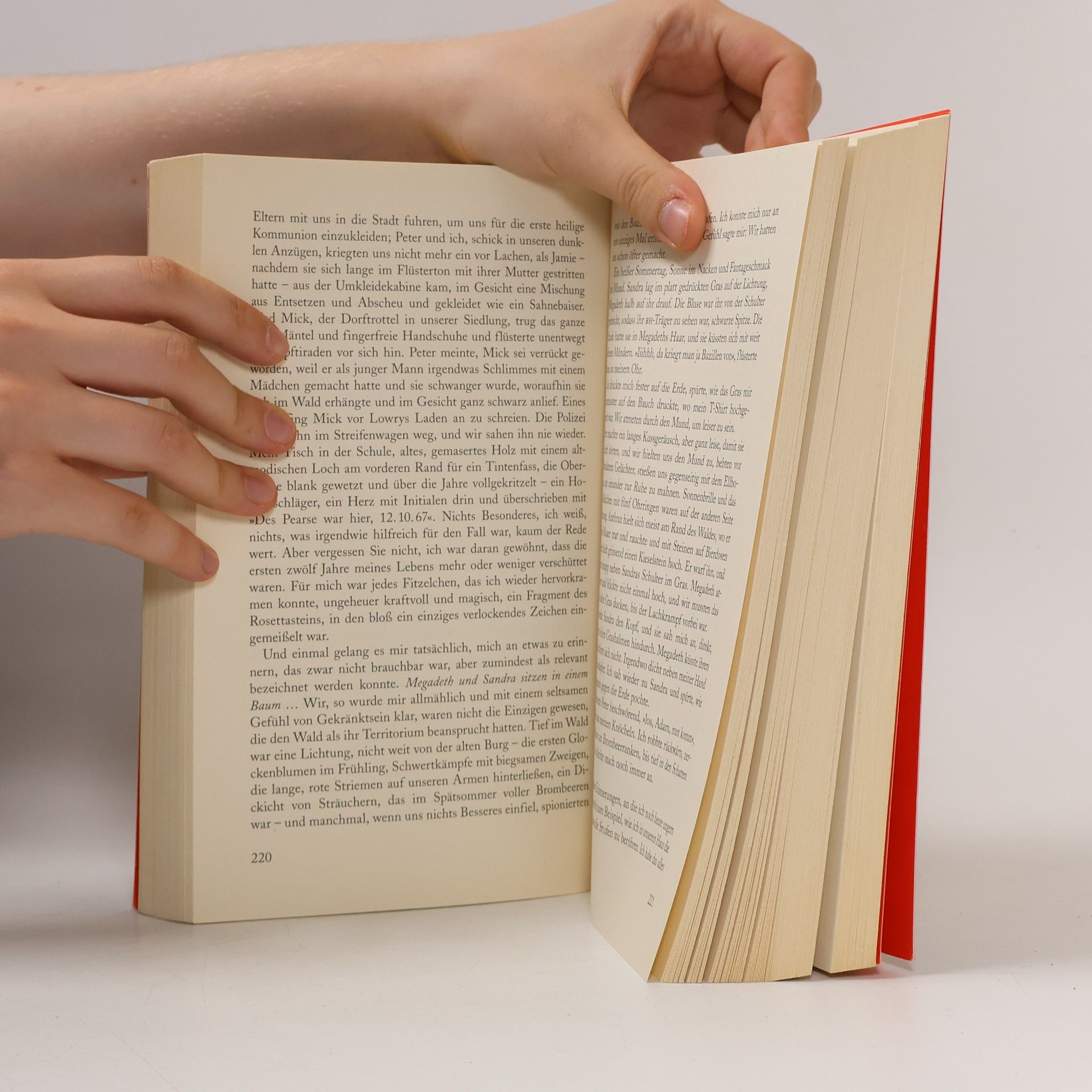 Tana French Grabesgrün