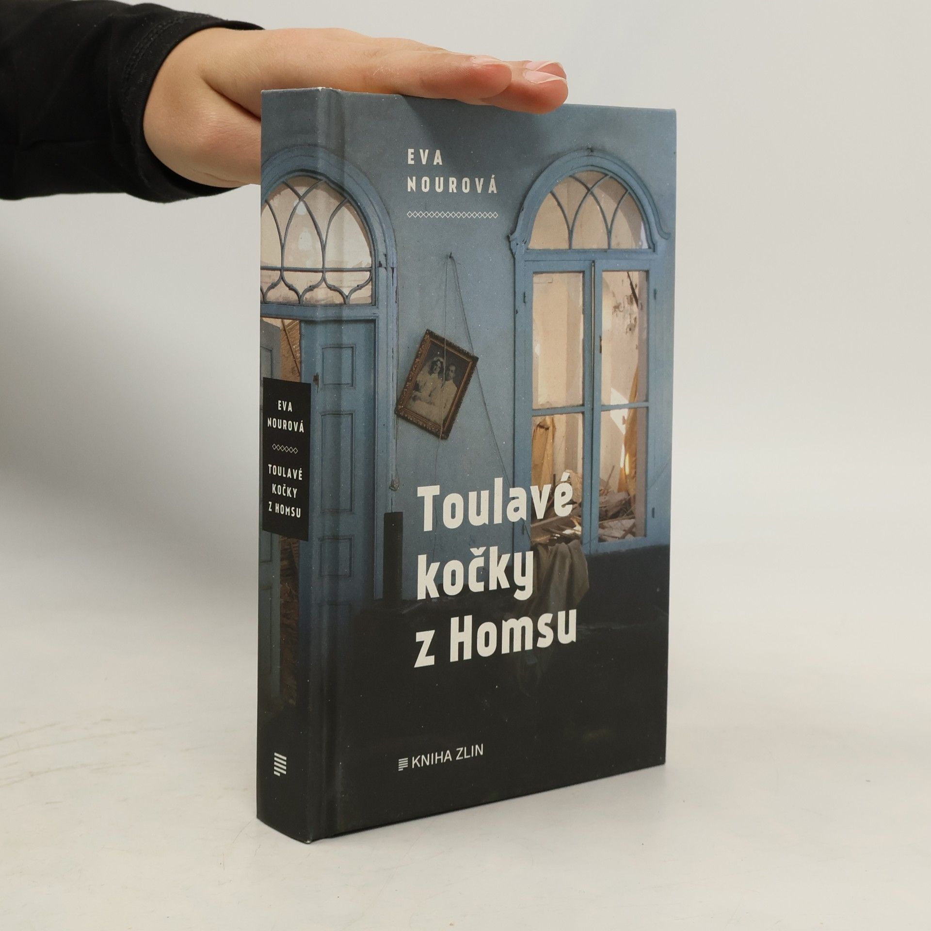 Eva Nour Toulavé kočky z Homsu
