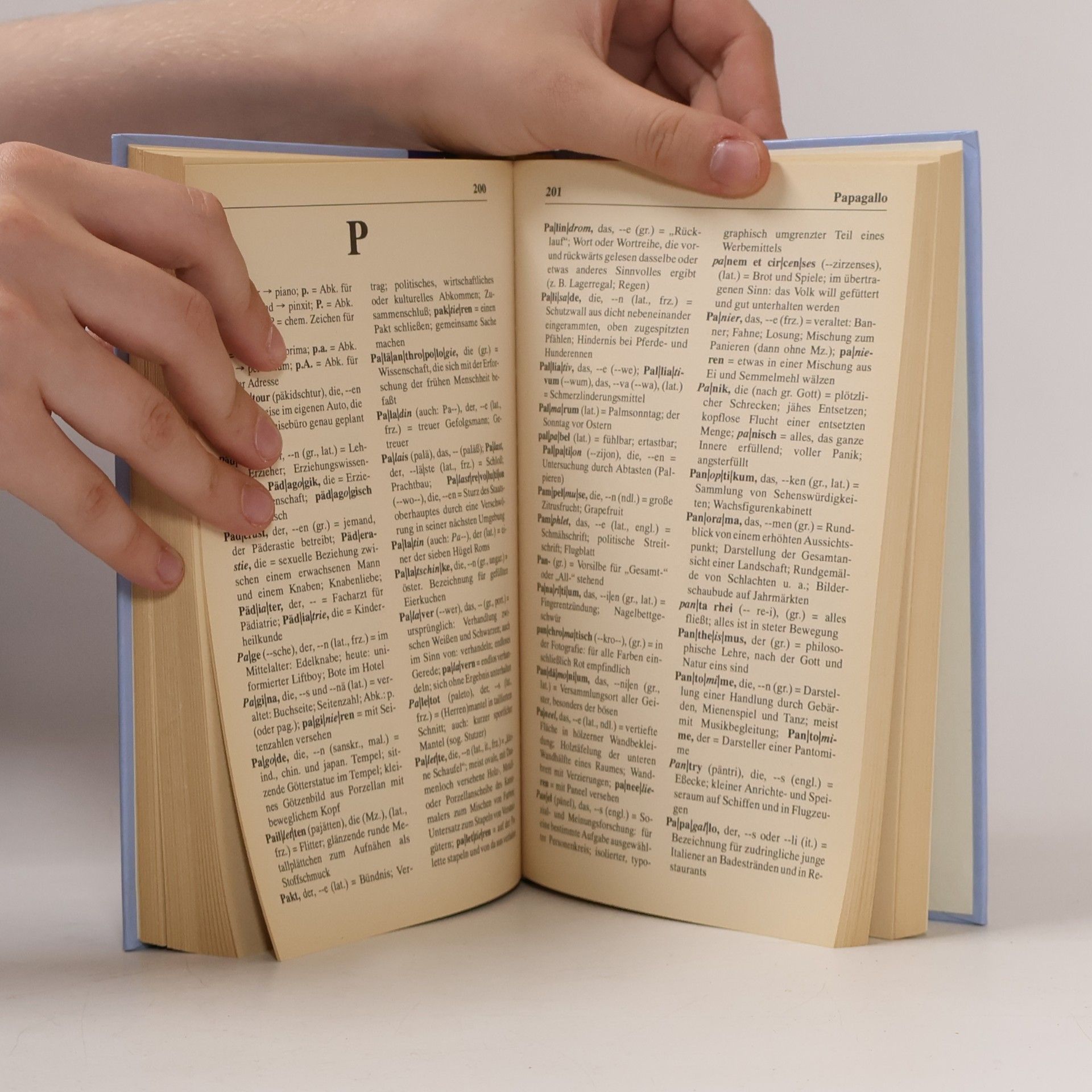 Ines Schill Fremdwörterbuch