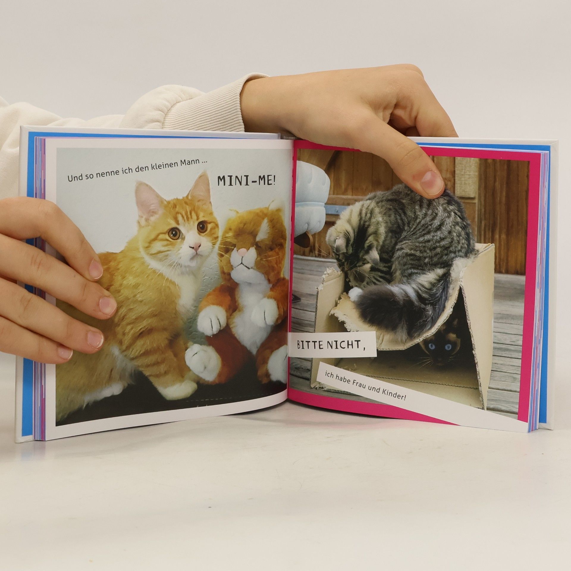 Klaus Bunte Meine Katze ist ein Arschloch - deine auch?