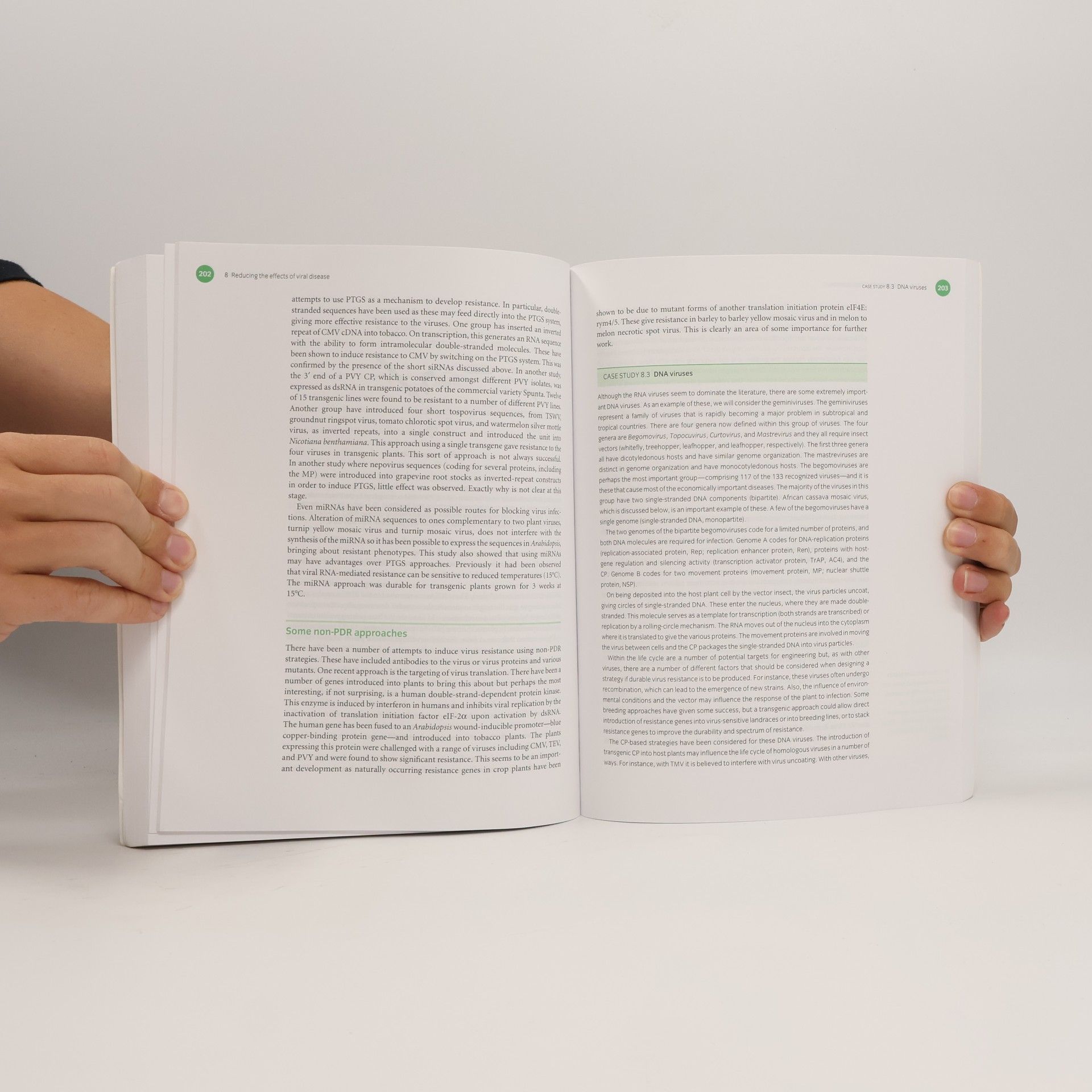 Adrian Slater Plant Biotechnology