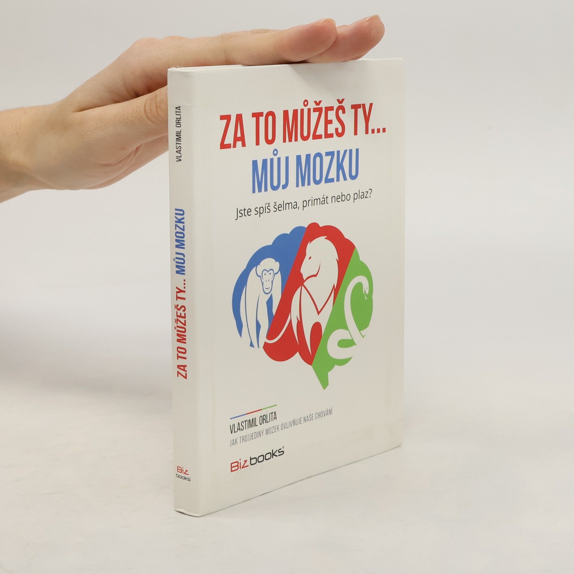 Za to můžeš ty... můj mozku!