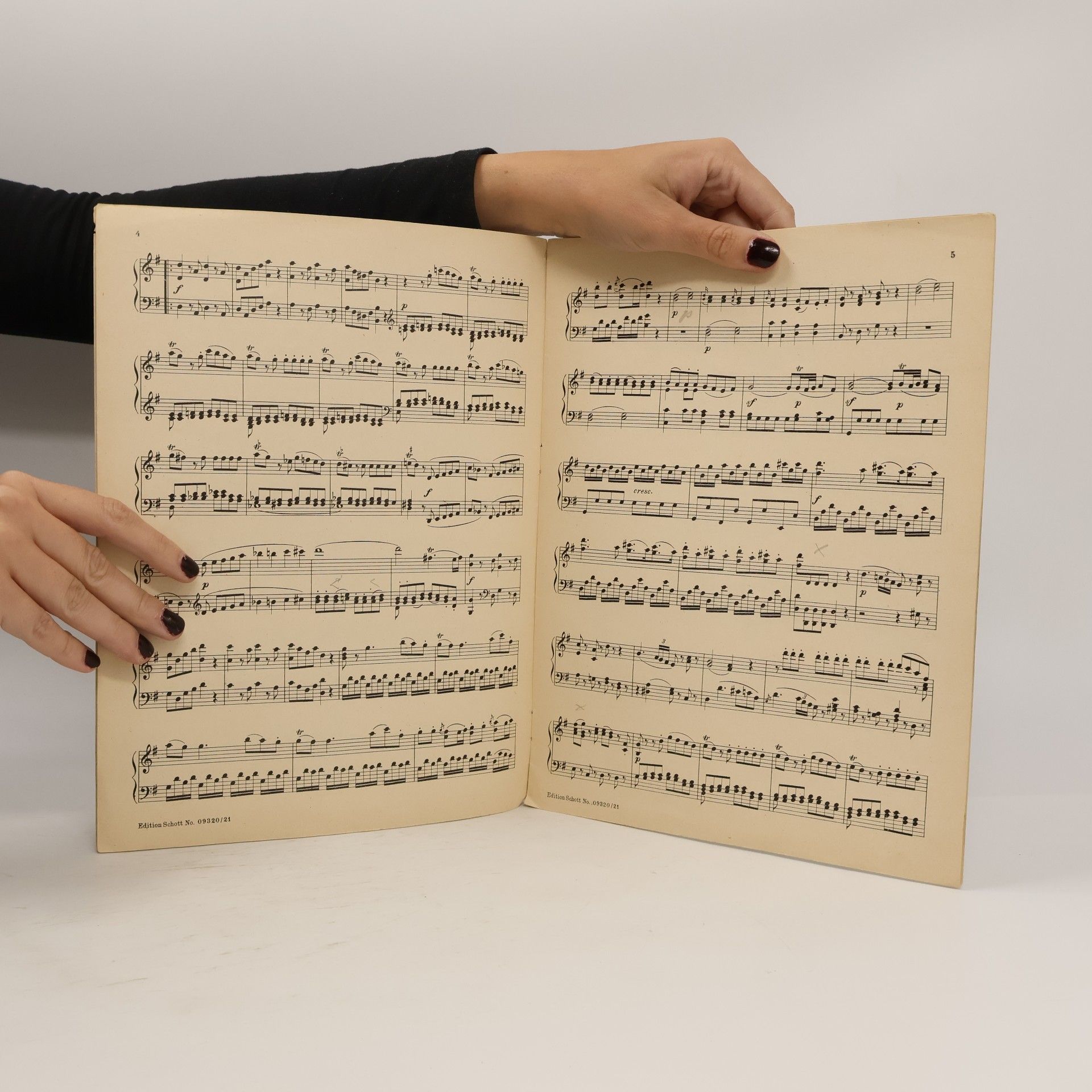 W. A. Mozart Serenade