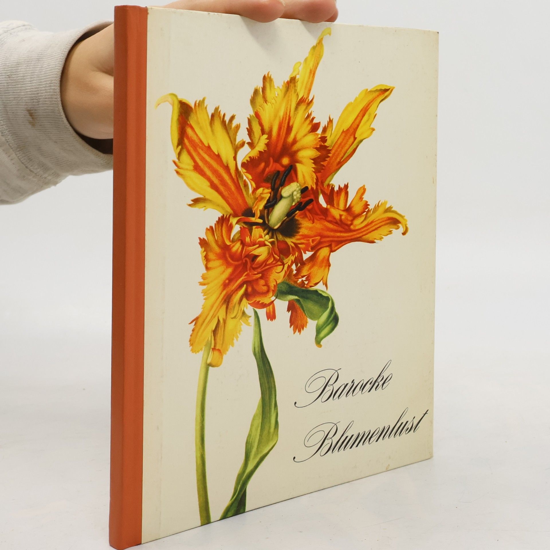 Autorenkollektiv Barocke Blumenlust