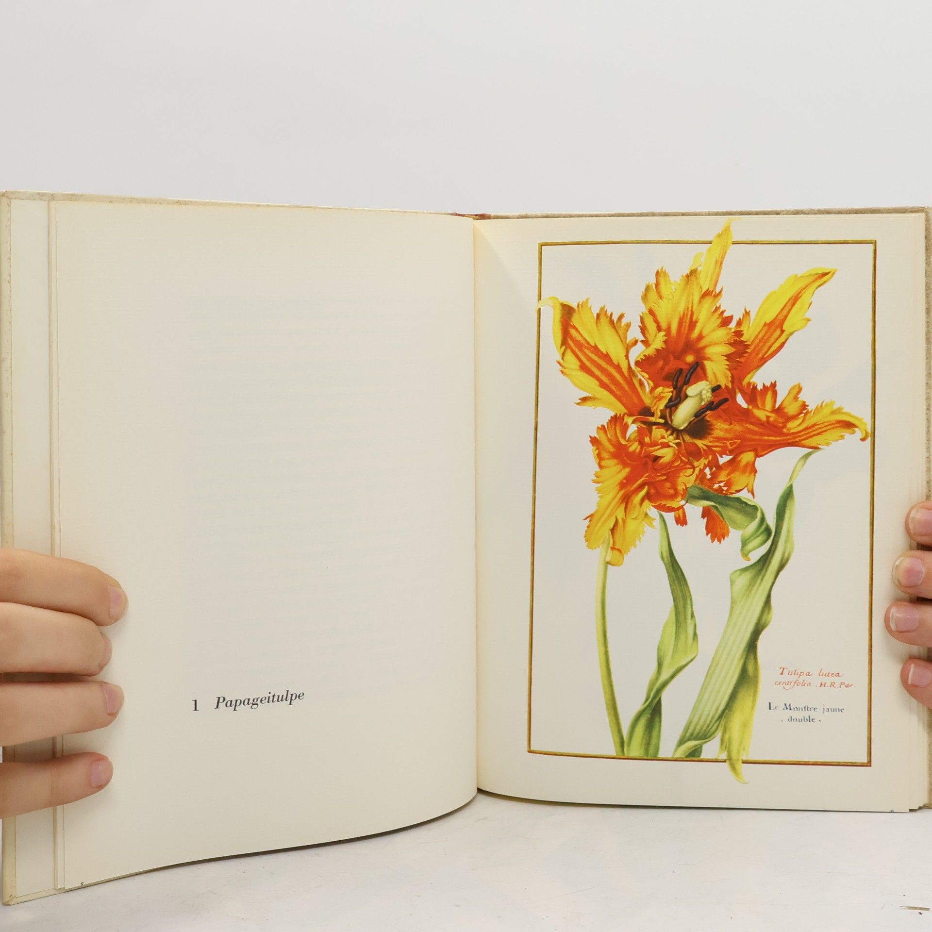 Autorenkollektiv Barocke Blumenlust