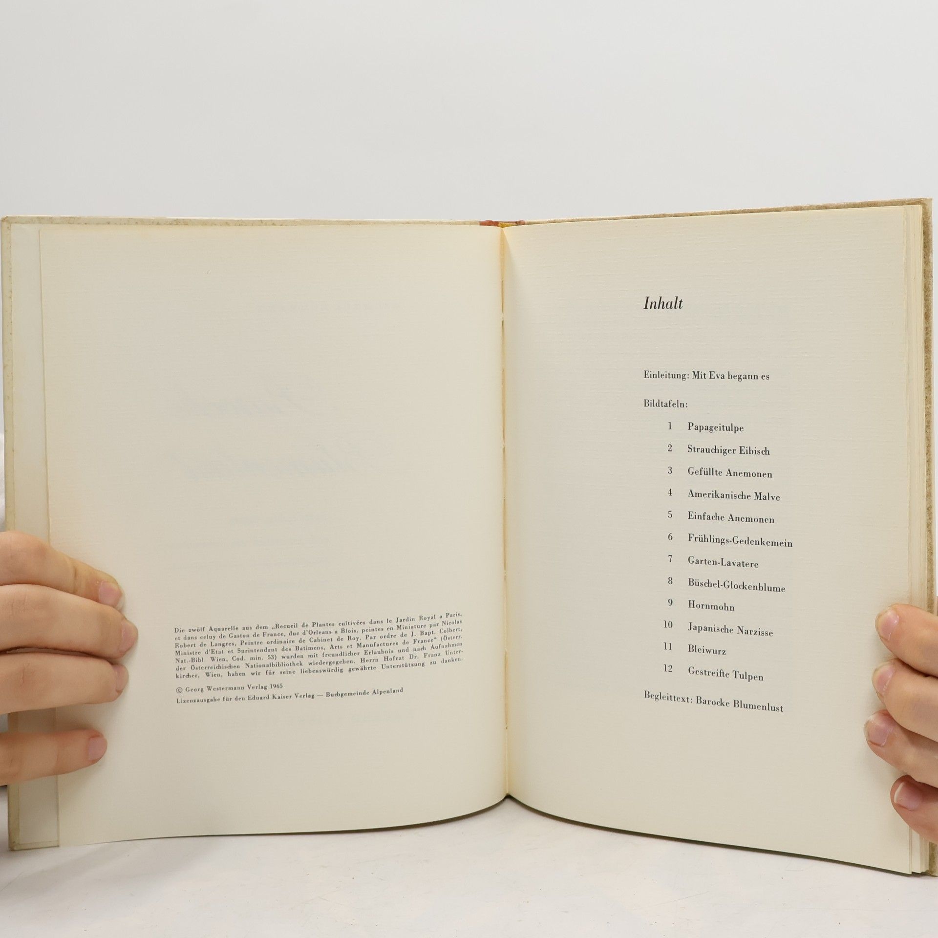 Autorenkollektiv Barocke Blumenlust