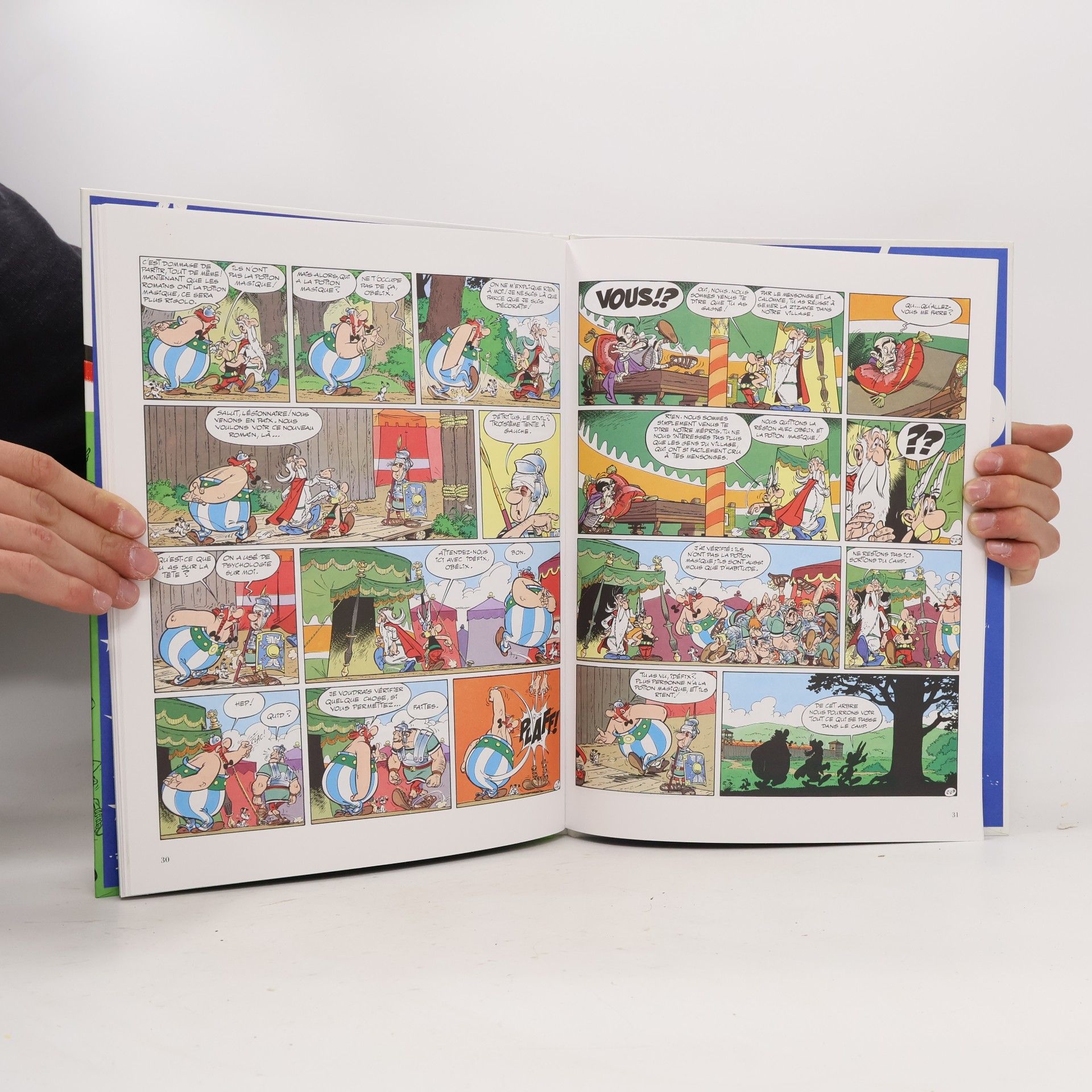 René Goscinny Astérix - 15: La Zizanie