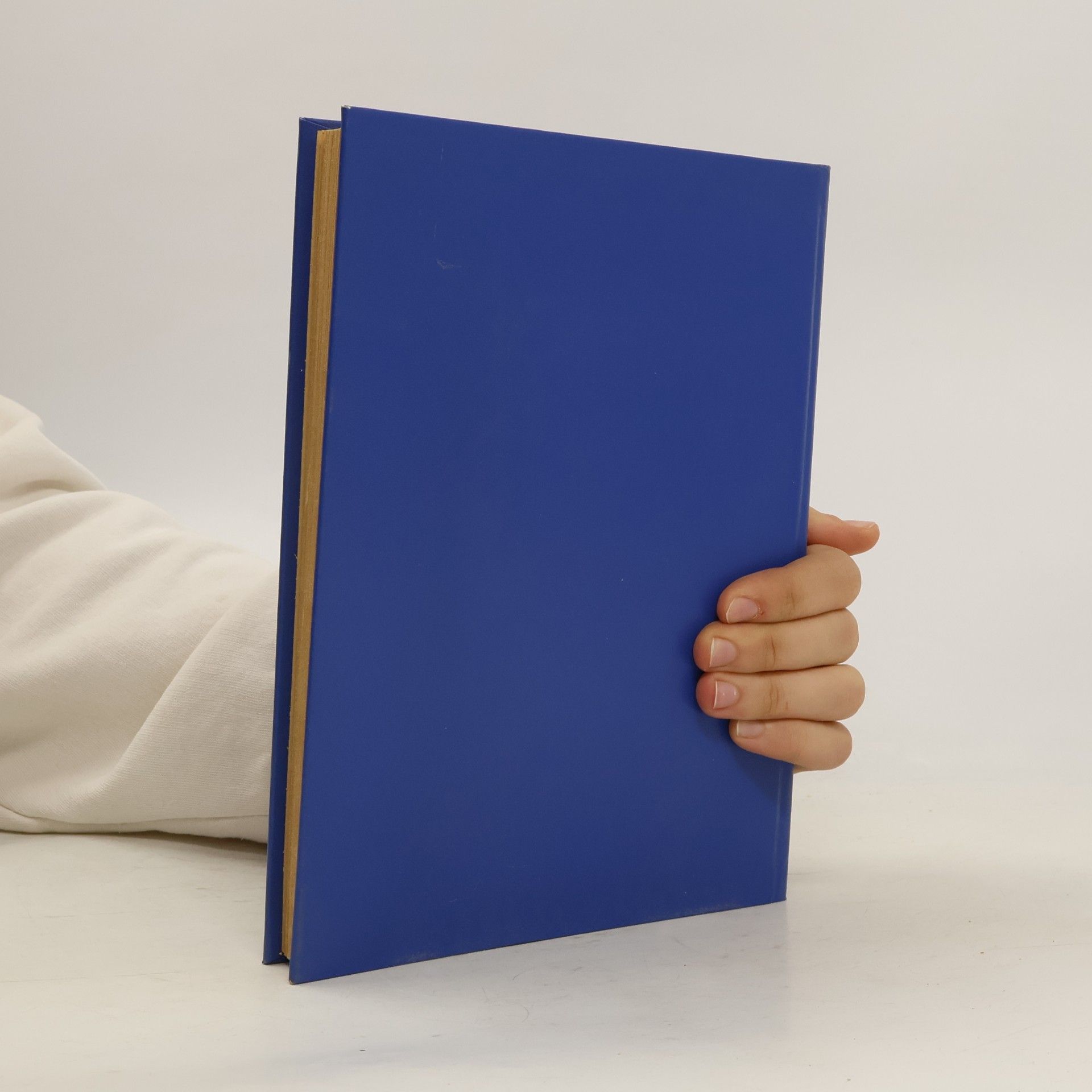 kolektiv Zivilgesetzbuch