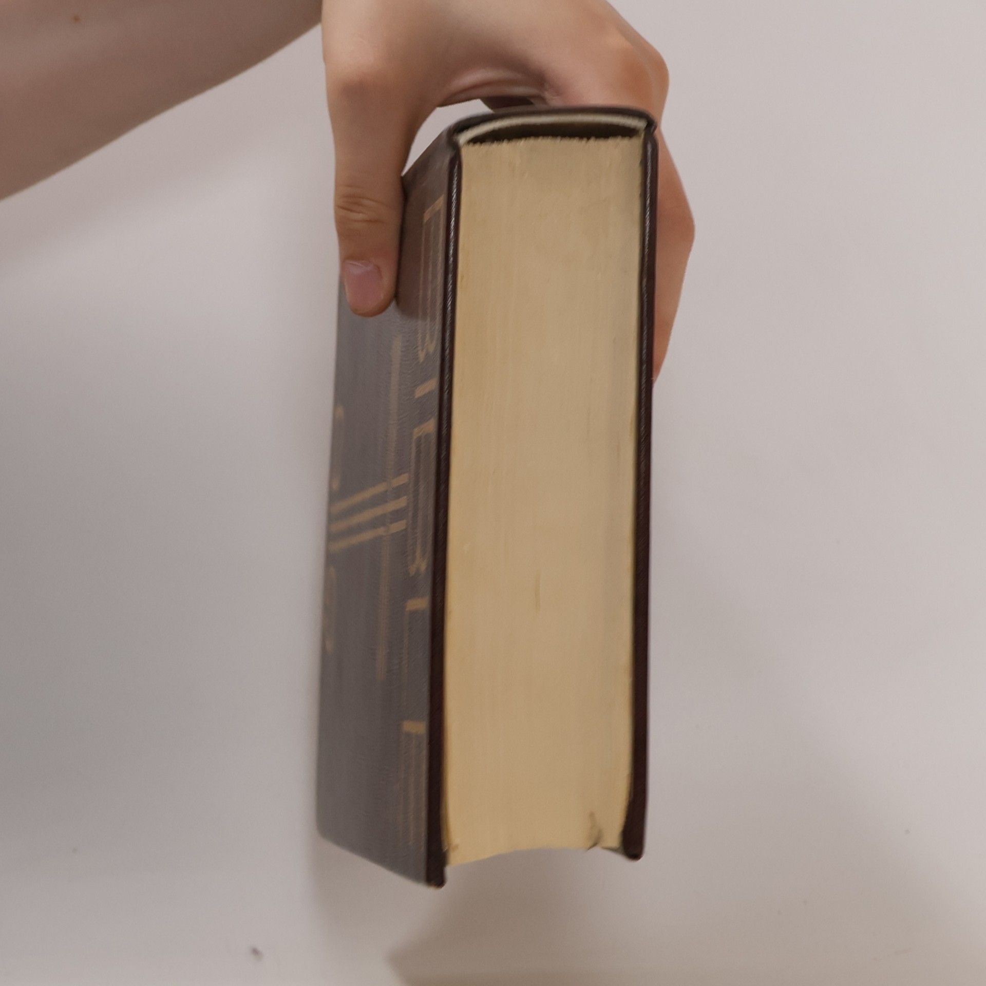 Various authors Bible. Písmo svaté Starého a Nového Zákona. Ekumenický překlad