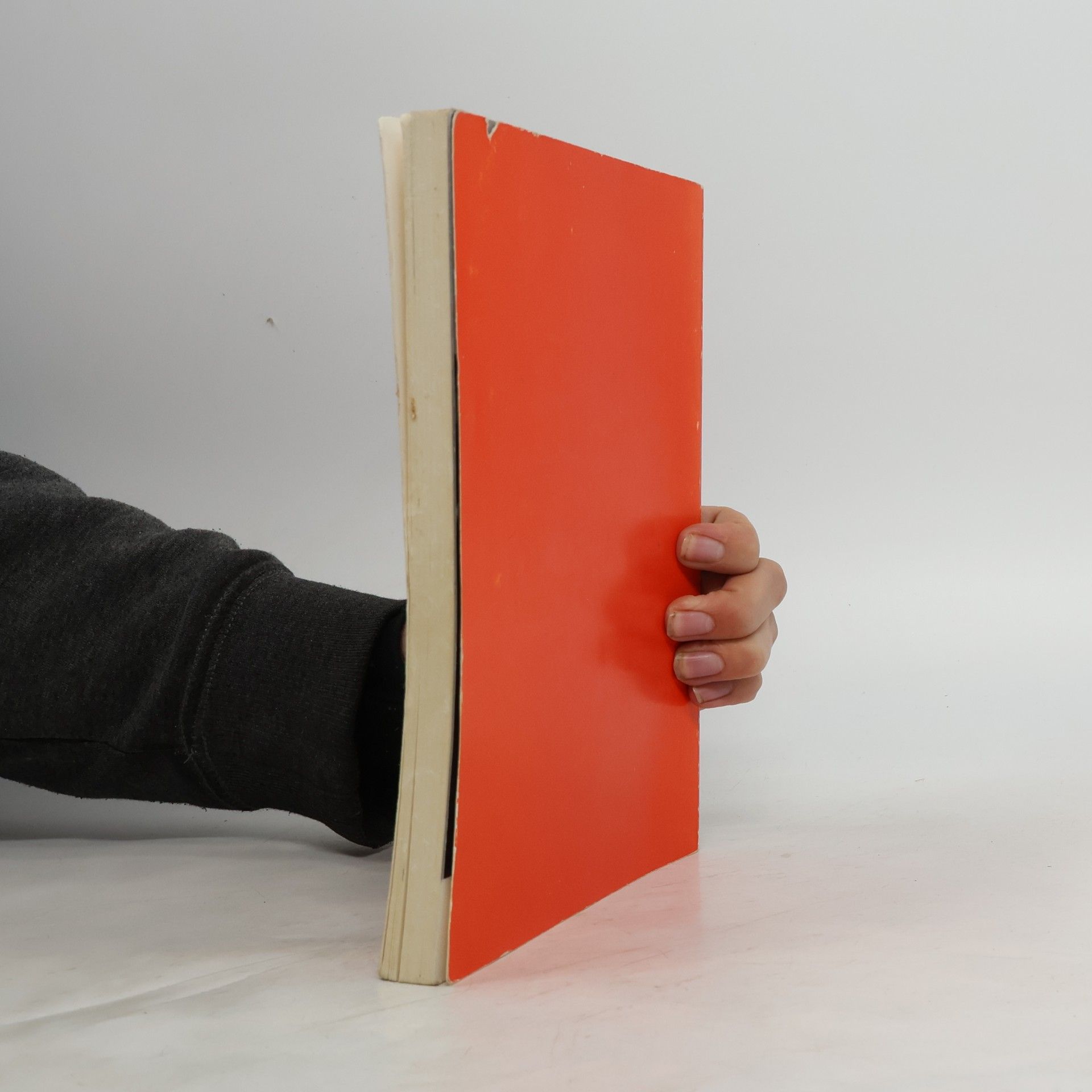 Hartwig Haubrich Sozialgeographie