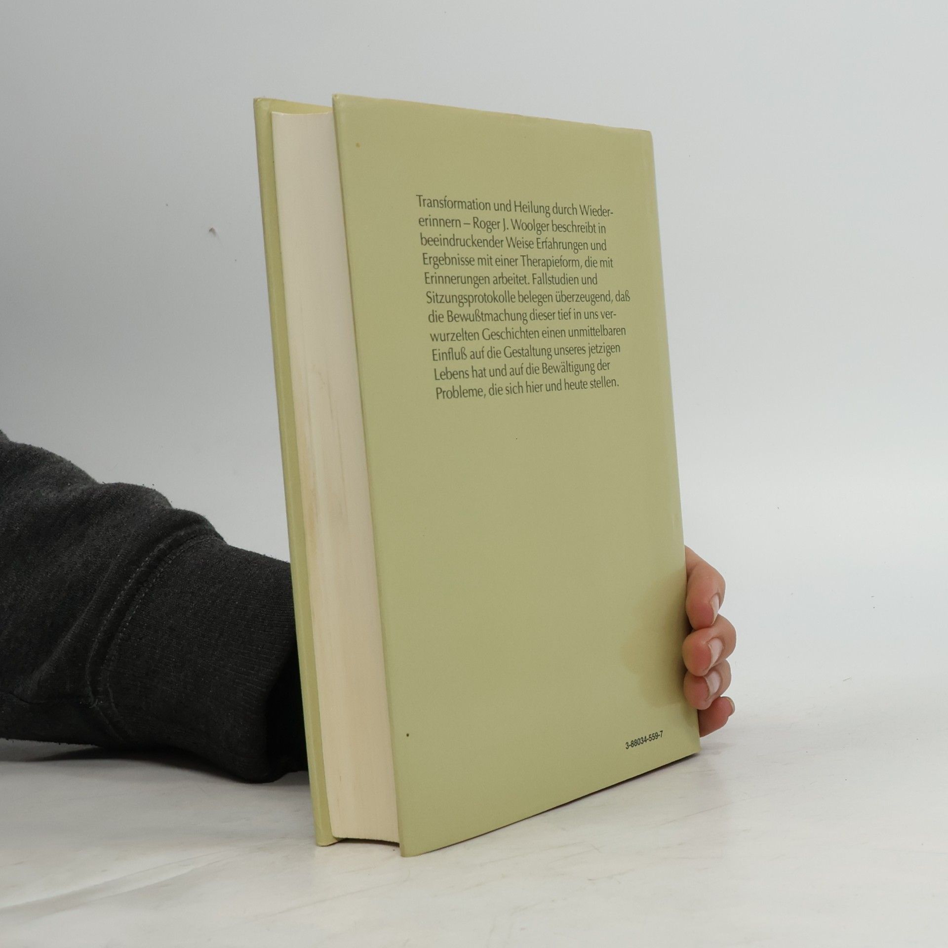 Roger J. Woolger Die vielen Leben der Seele
