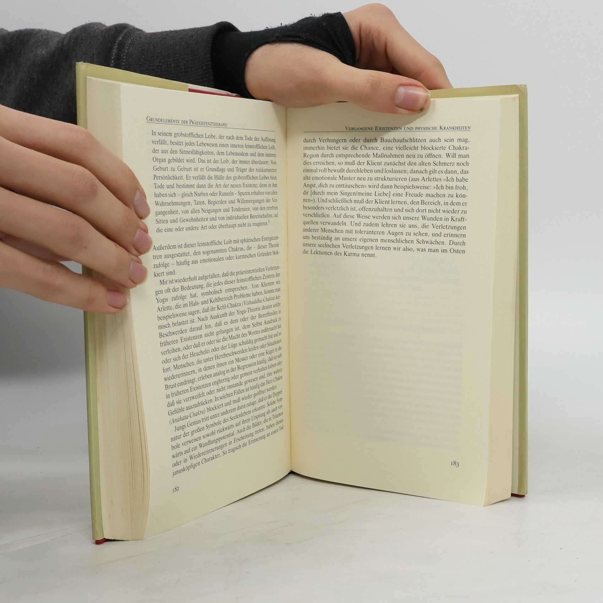 Roger J. Woolger Die vielen Leben der Seele