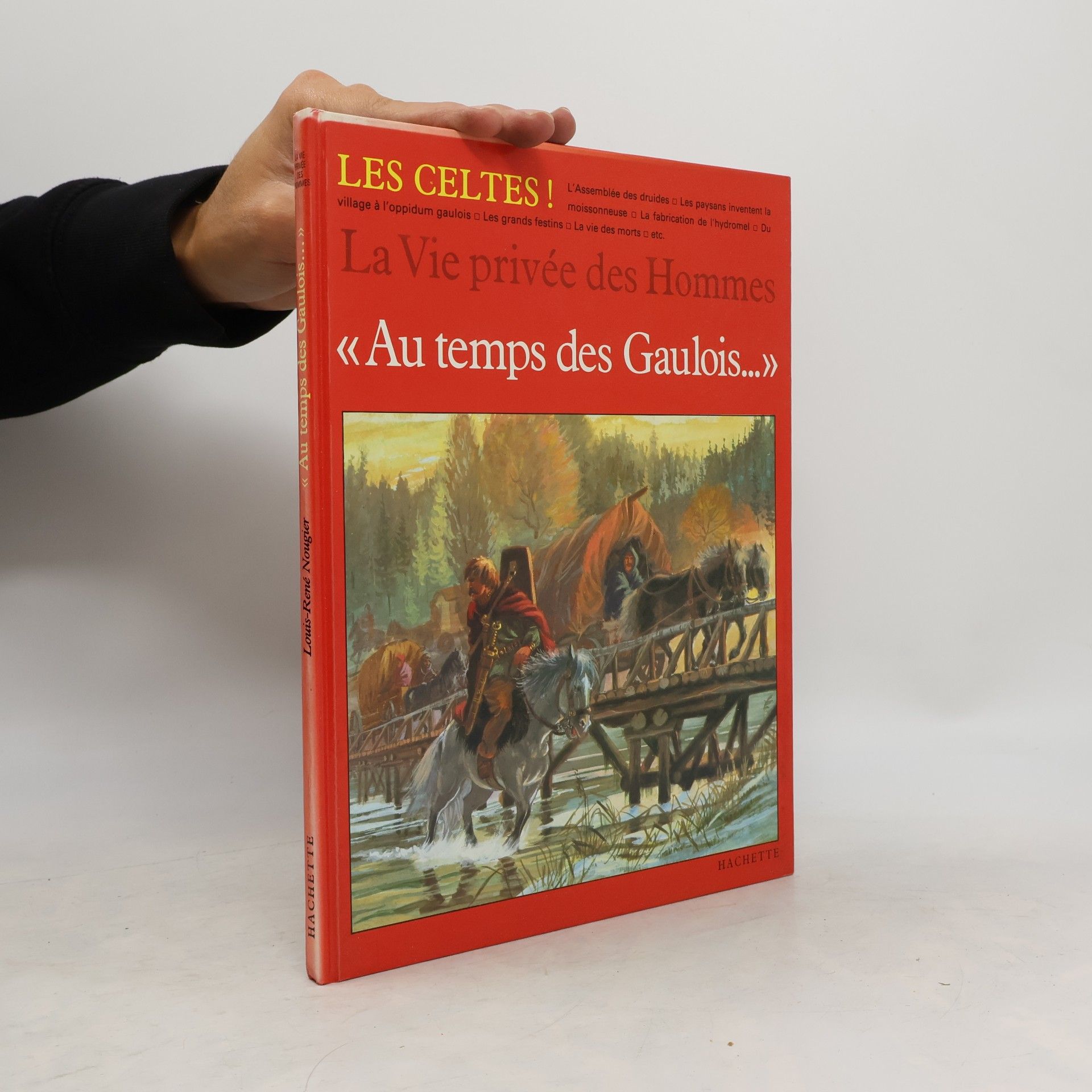 Au temps des Gaulois