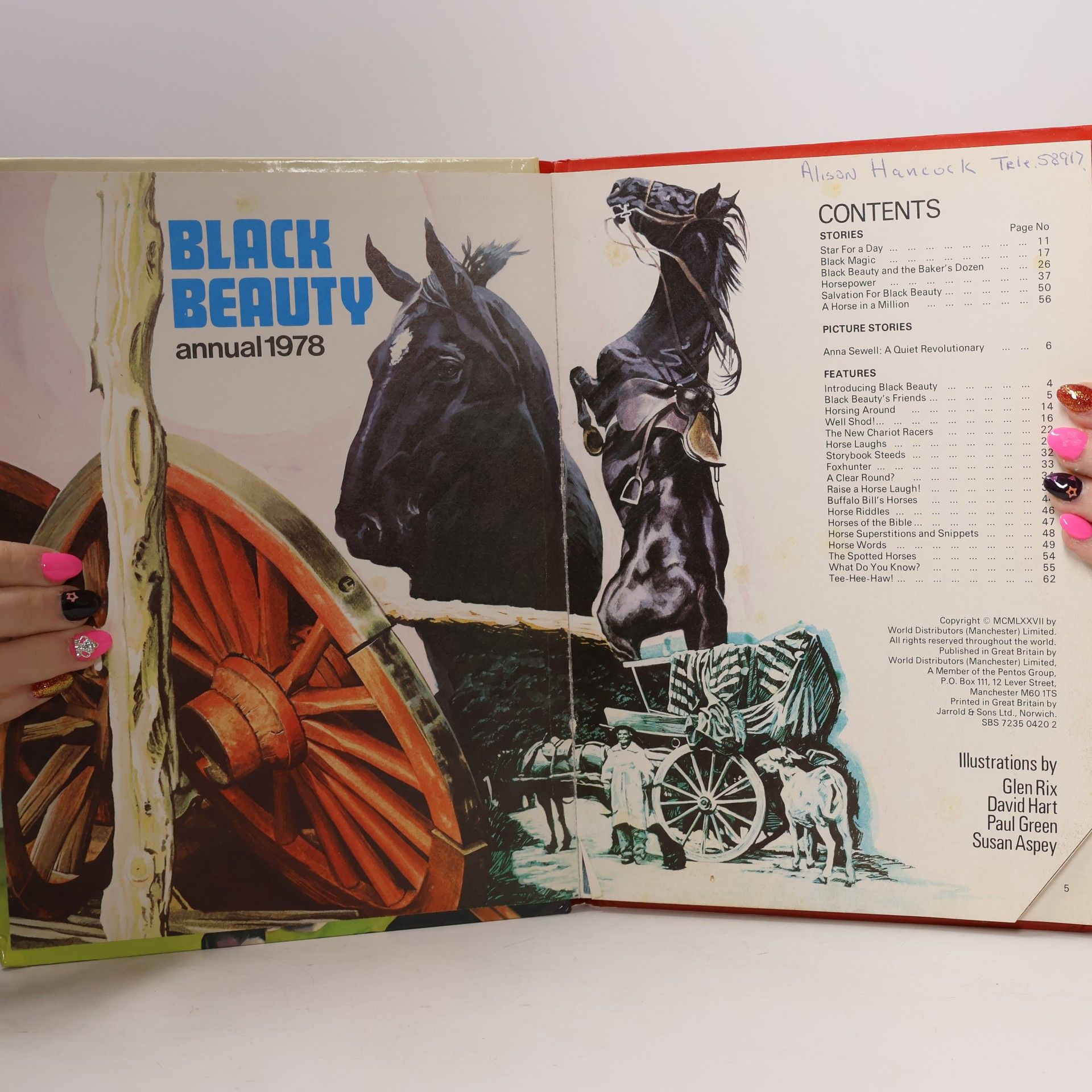 Glen Rix Black Beauty