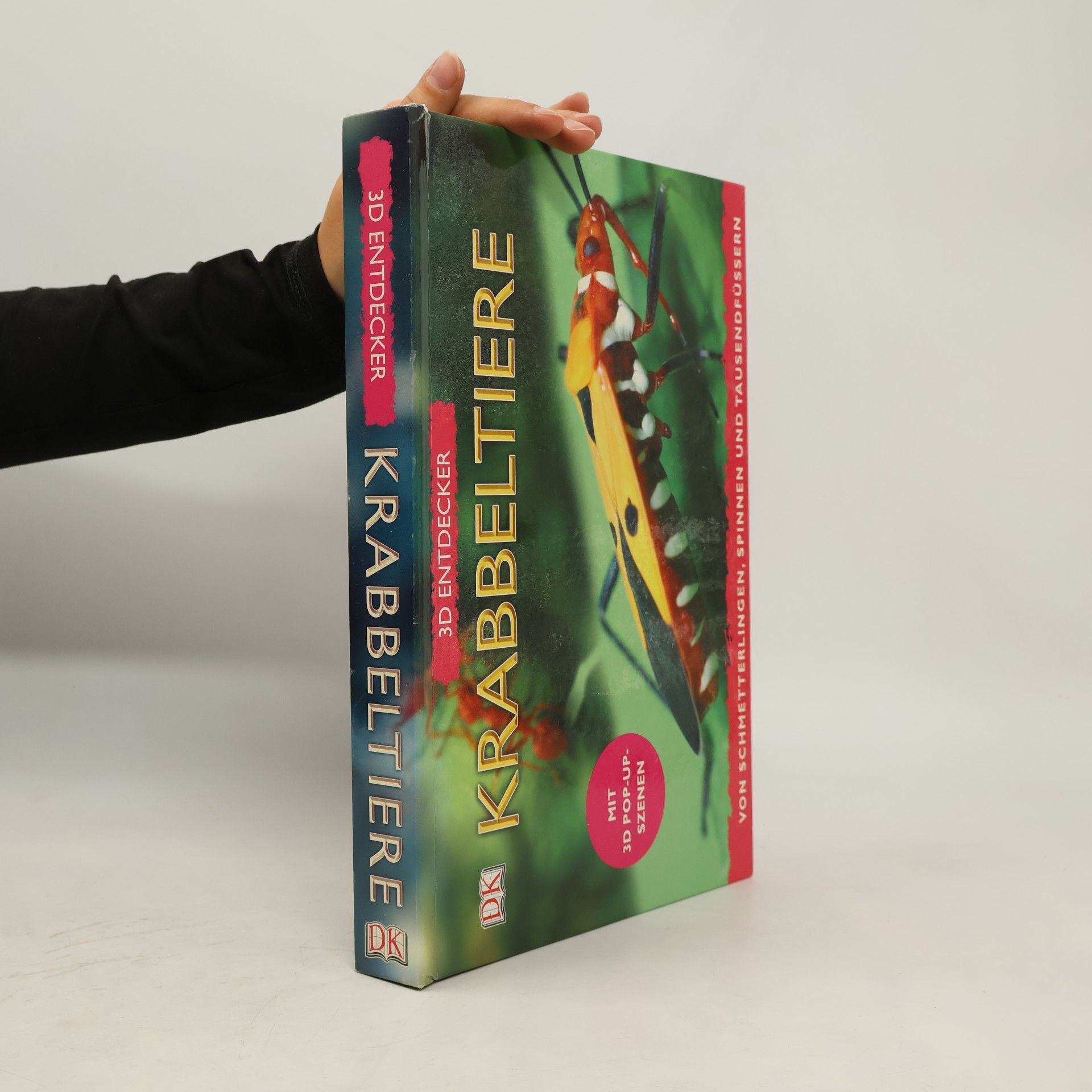 Jen Green 3D Entdecker: Krabbeltiere