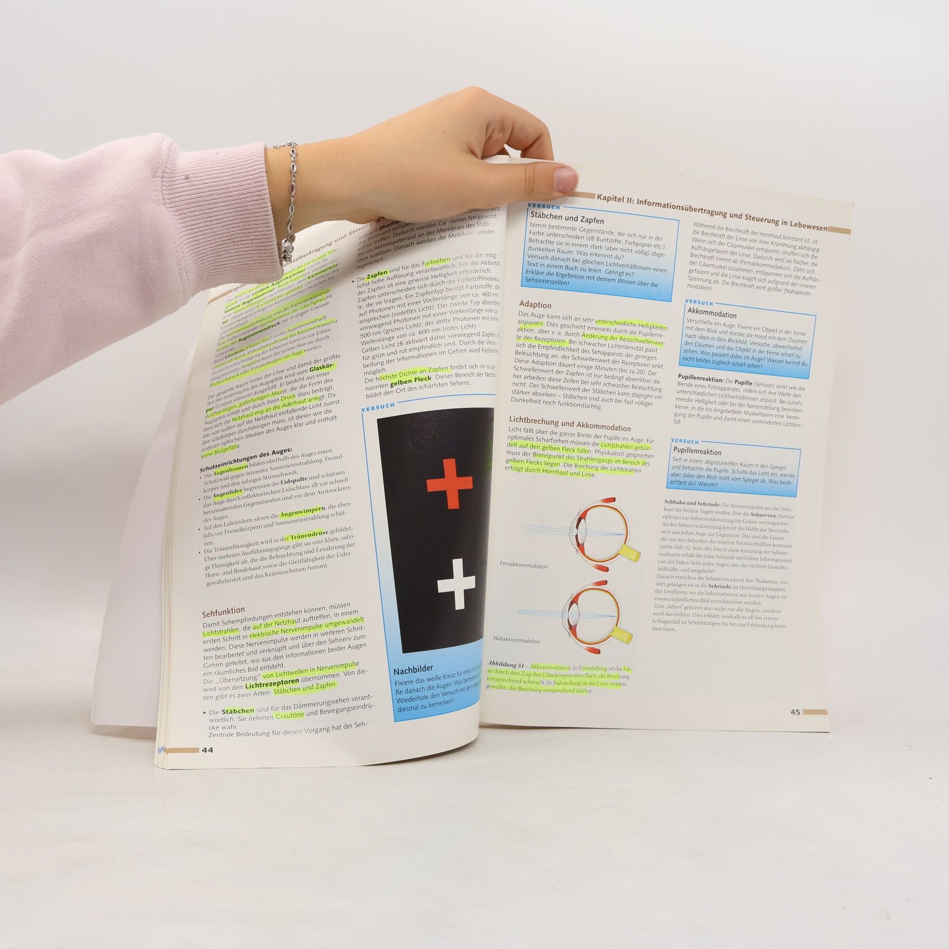 Michel Fleck Basiswissen Biologie 2