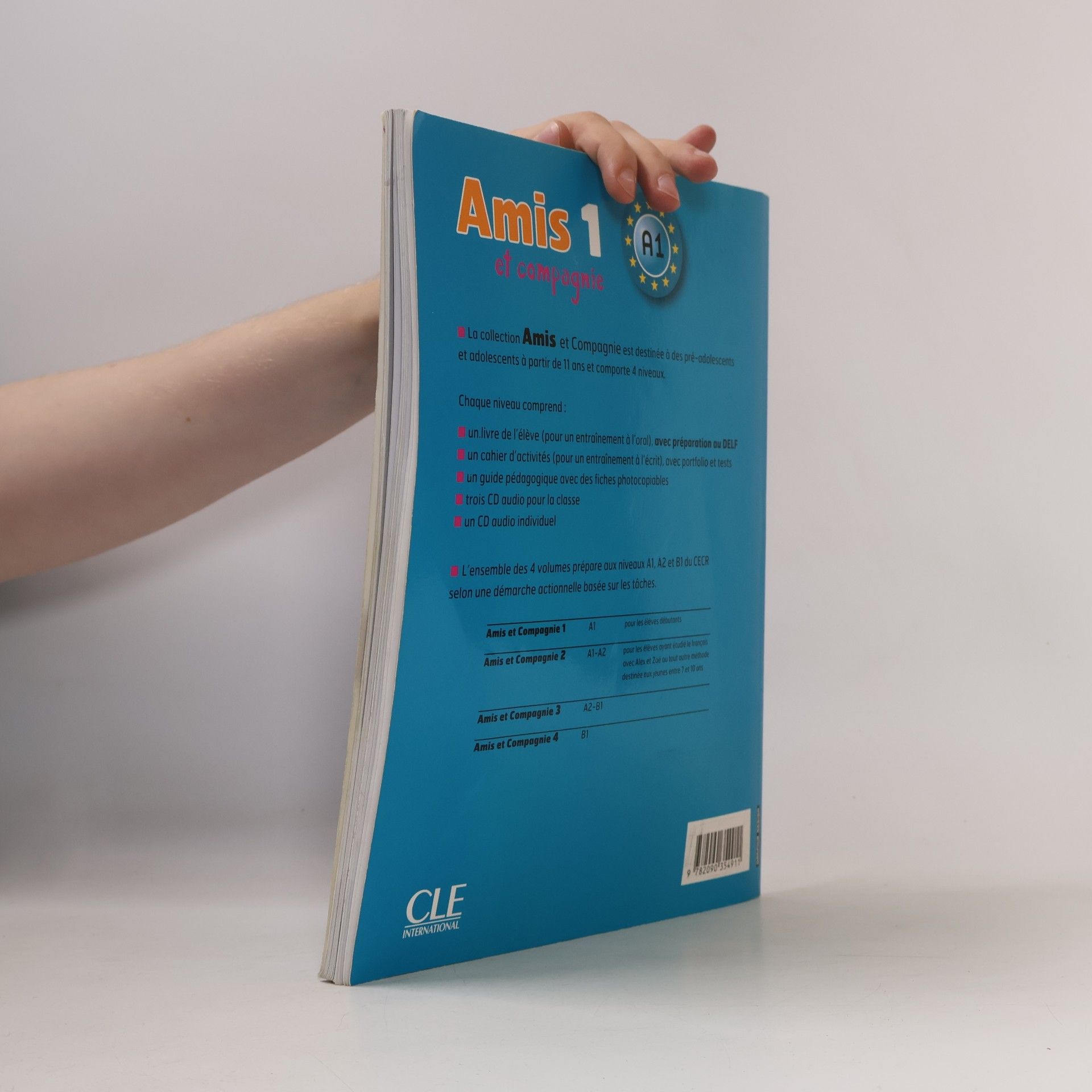Colette Samson Amis 1 et compagnie. Cahier d'activités