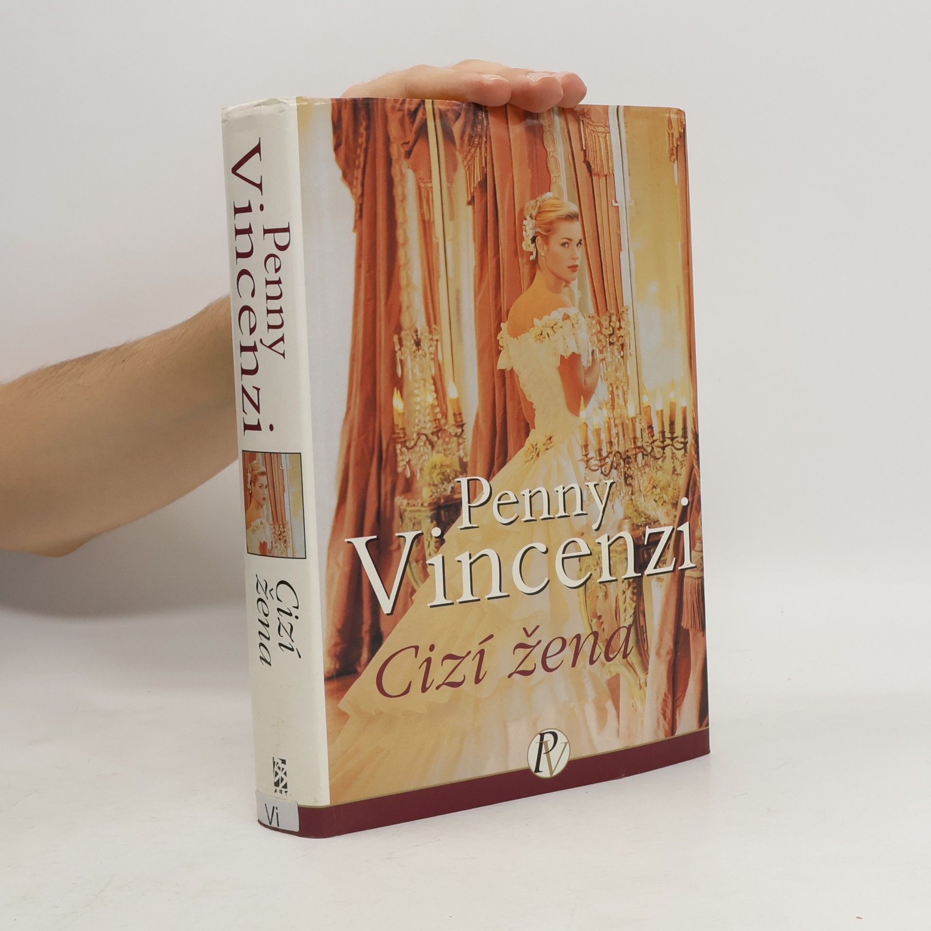 Penny Vincenzi Cizí žena