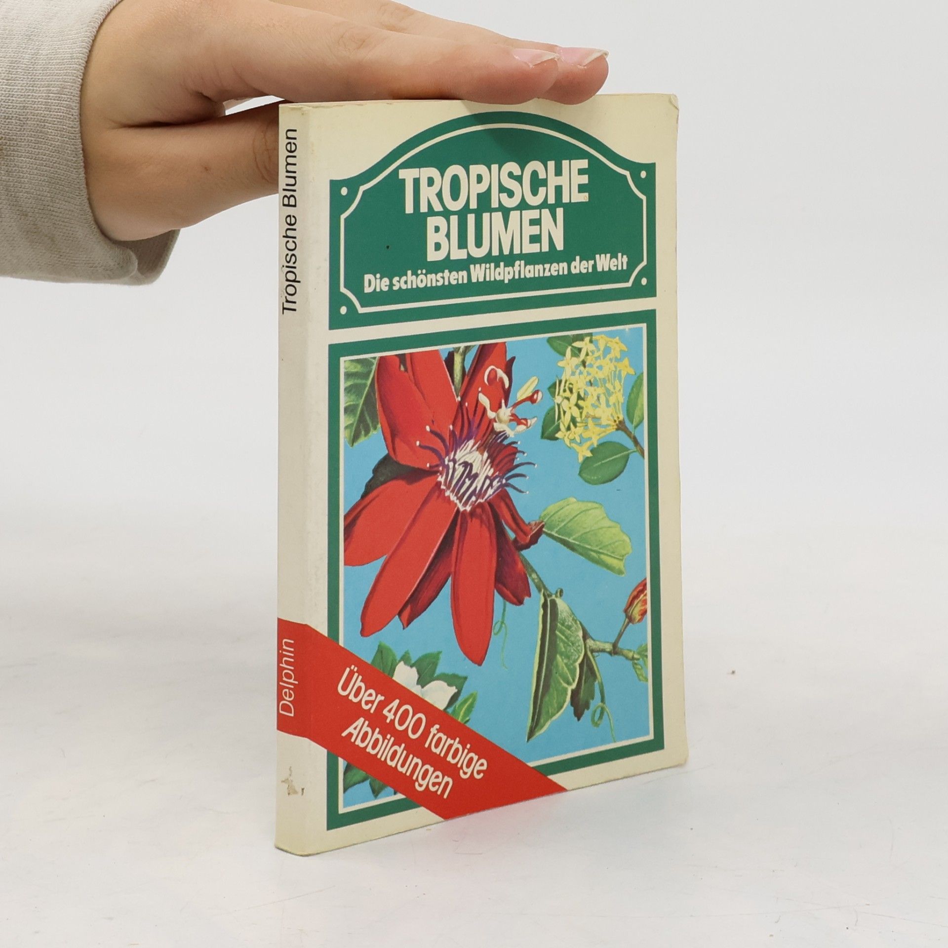 Tropische Blumen
