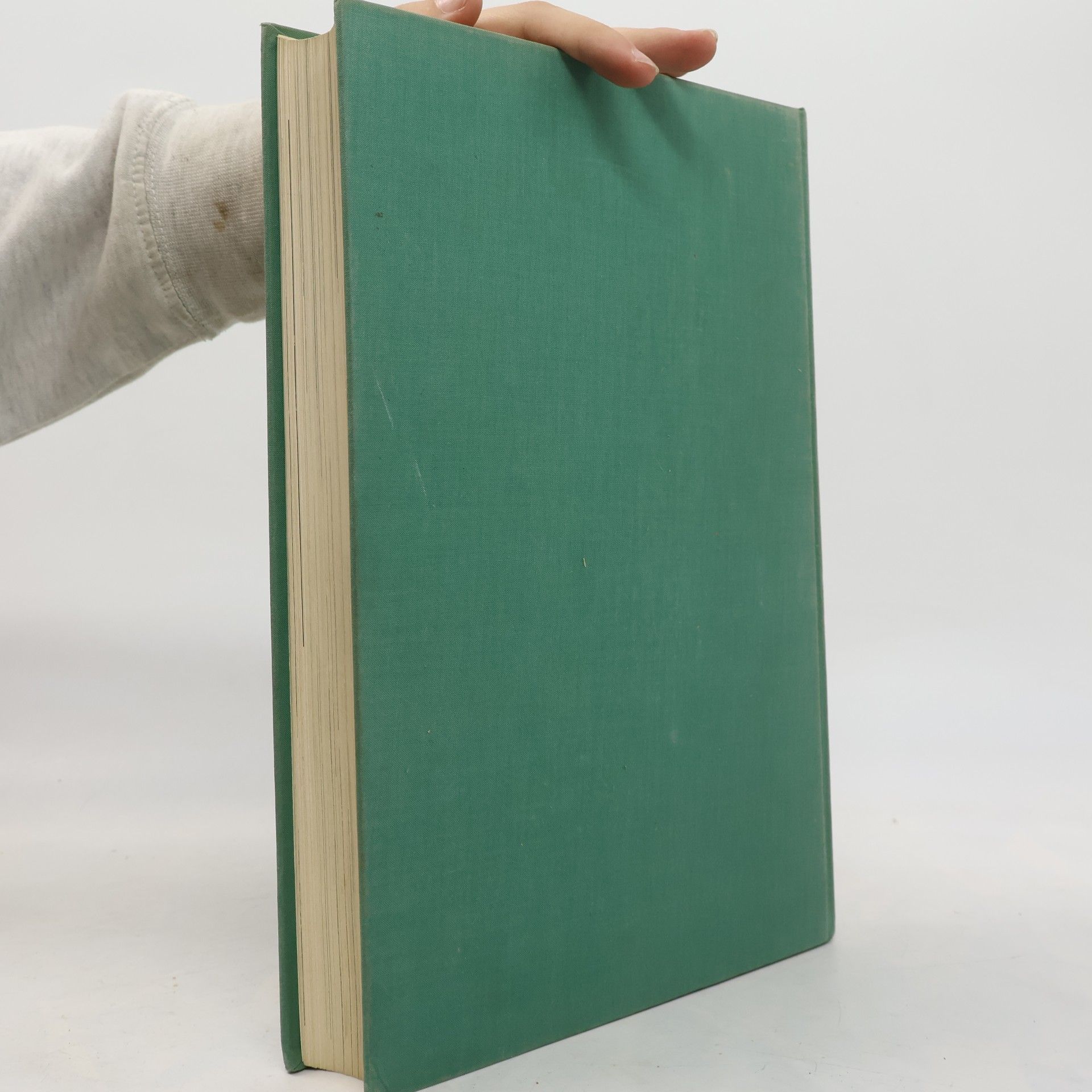 Autorenkollektiv Das Grosse Buch Der Kunst