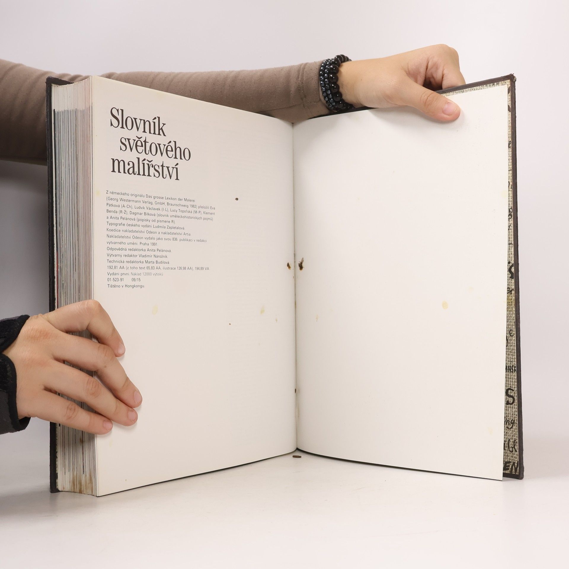 Various authors Slovník světového malířství