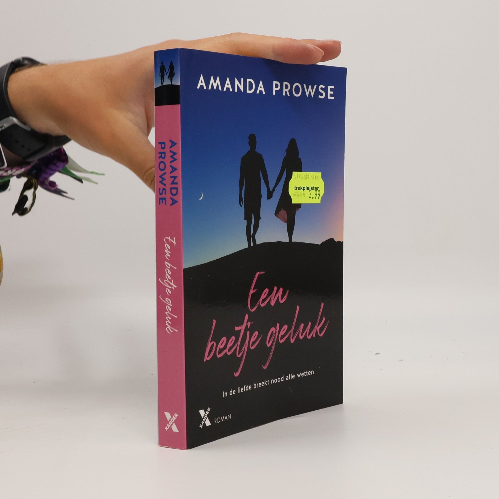 Amanda Prowse Een beetje geluk