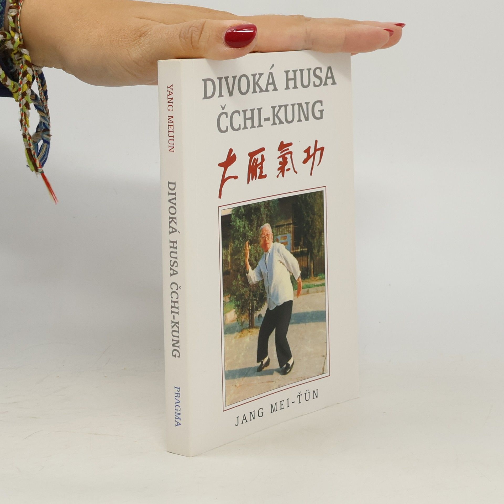 Mei ťün Jang Divoká husa čchi-kung
