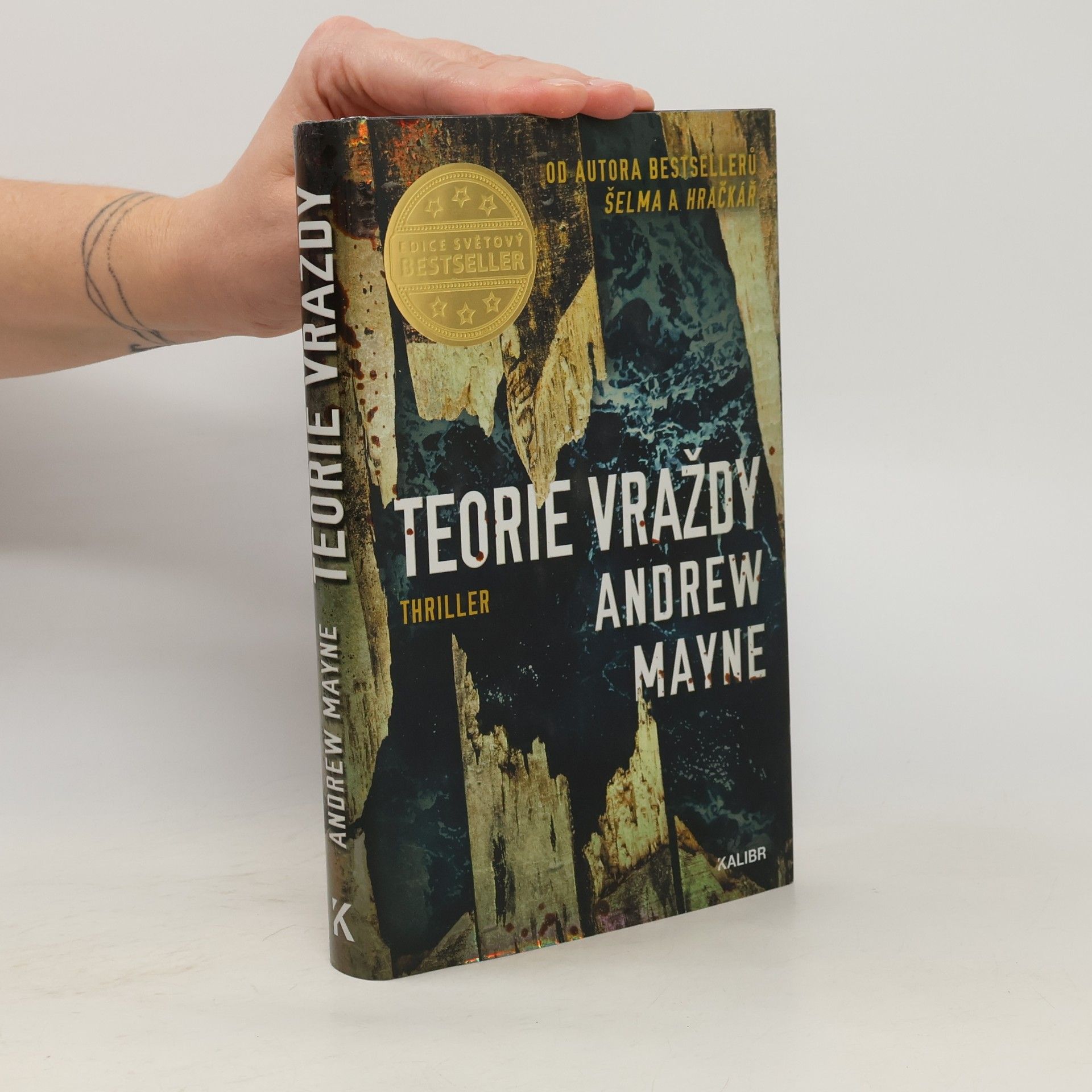 Andrew Mayne Teorie vraždy