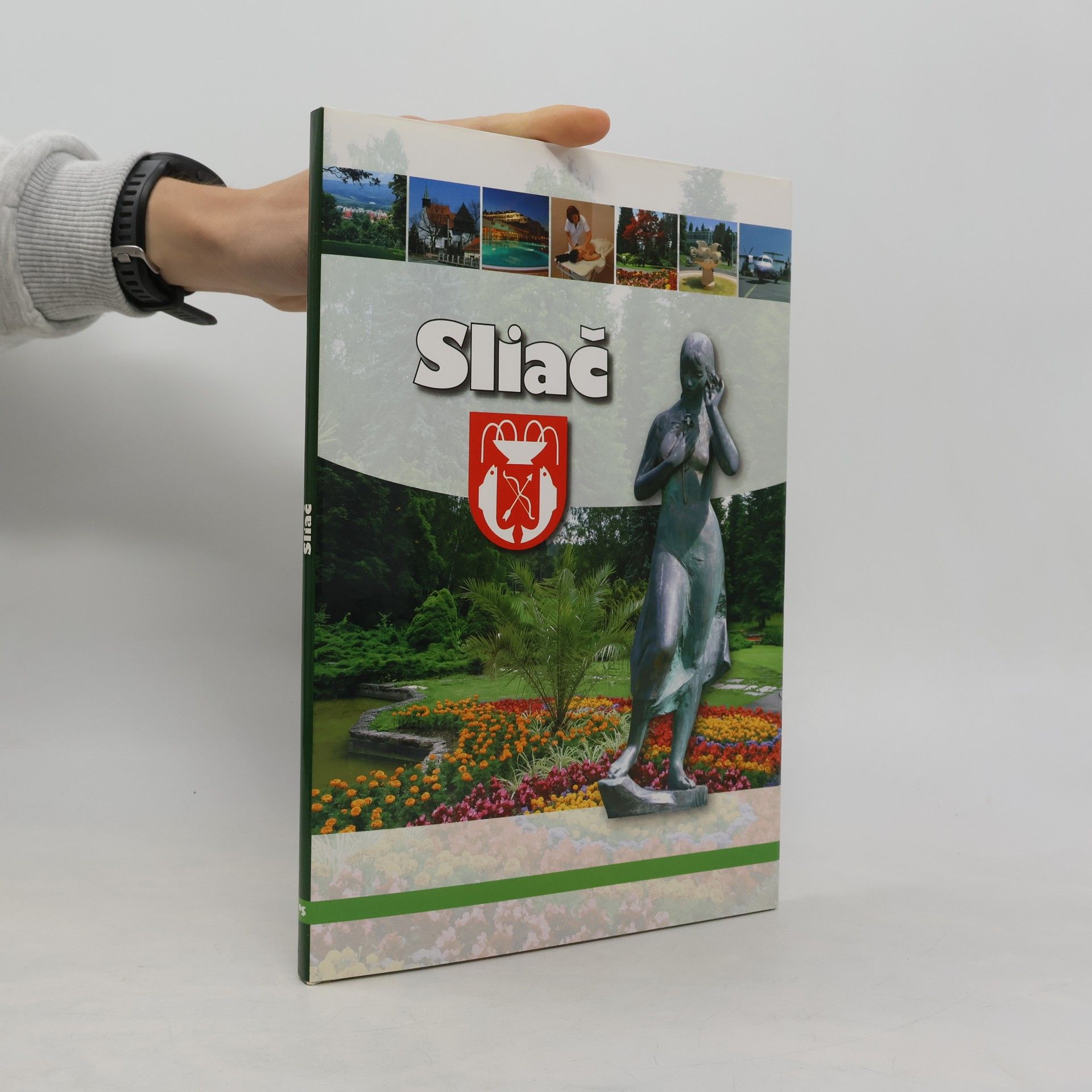 Kolektiv autorů Sliač