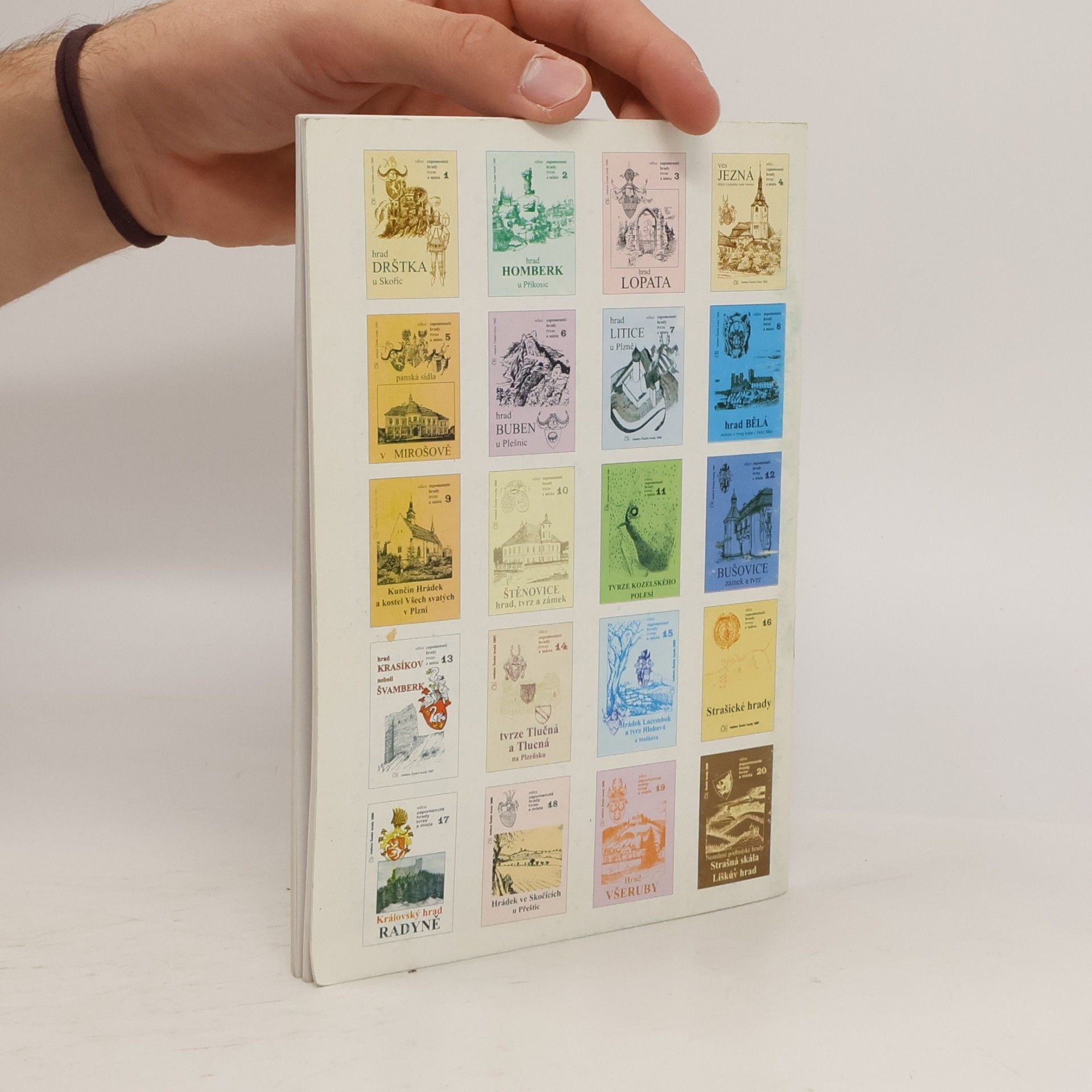 Petr Rožmberský Dvory plaských cisterciáků