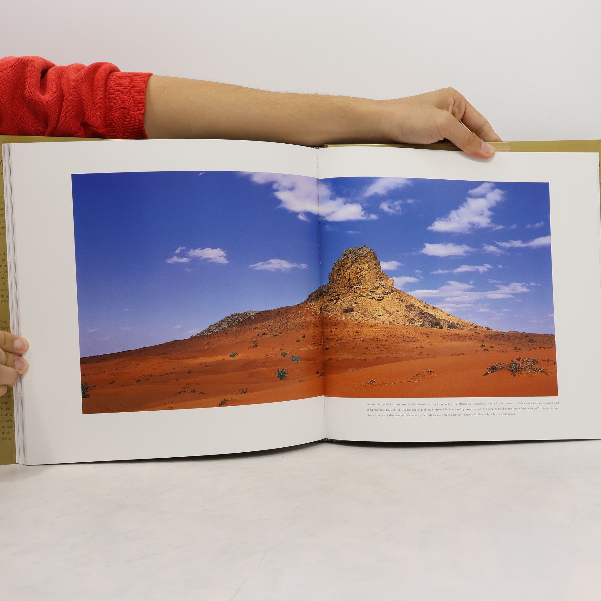 Lena Moosa Images of Abu Dhabi and the United Arab Emirates
