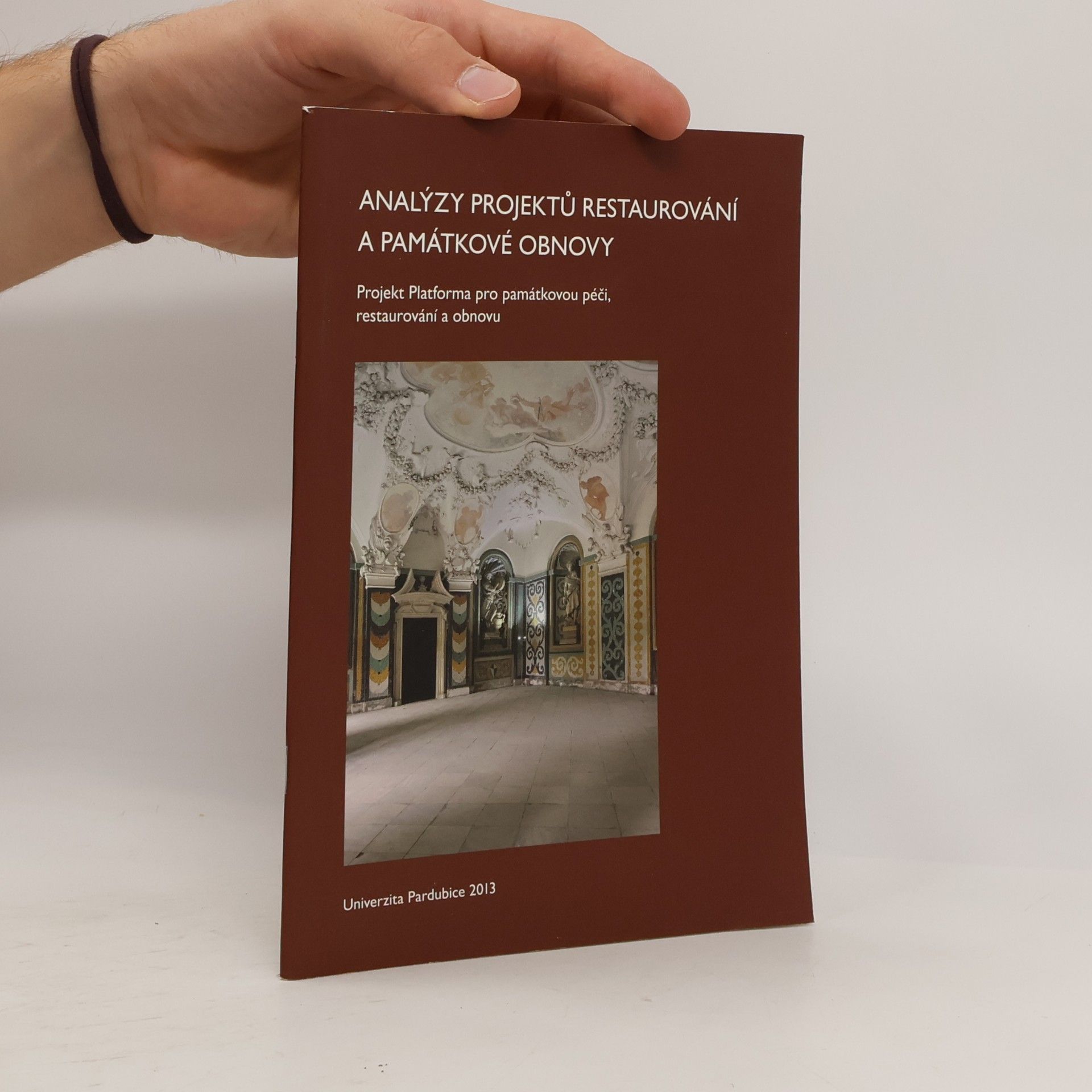 Petr Horák Analýzy projektů restaurování a památkové obnovy