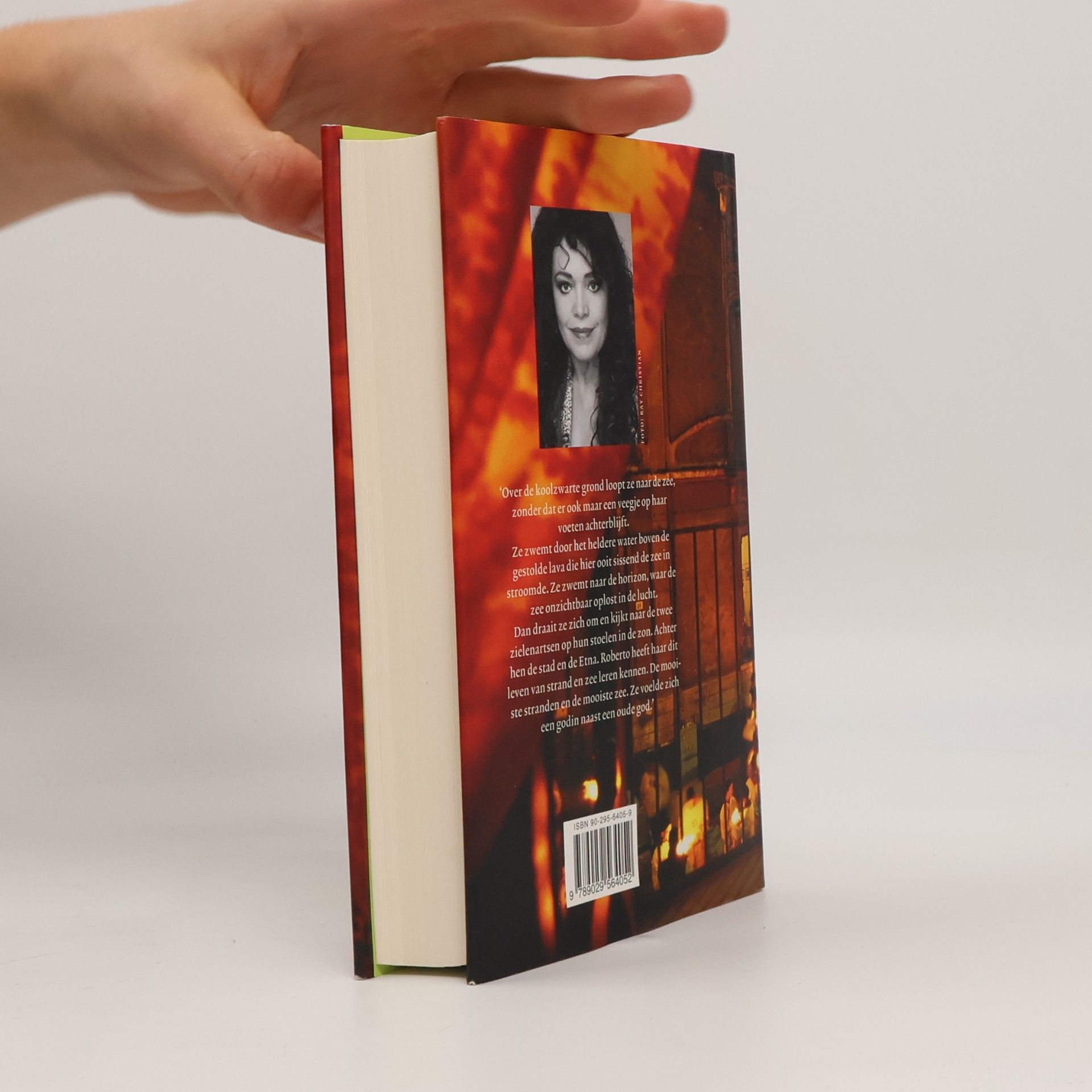Rosita Steenbeek Siciliaans testament