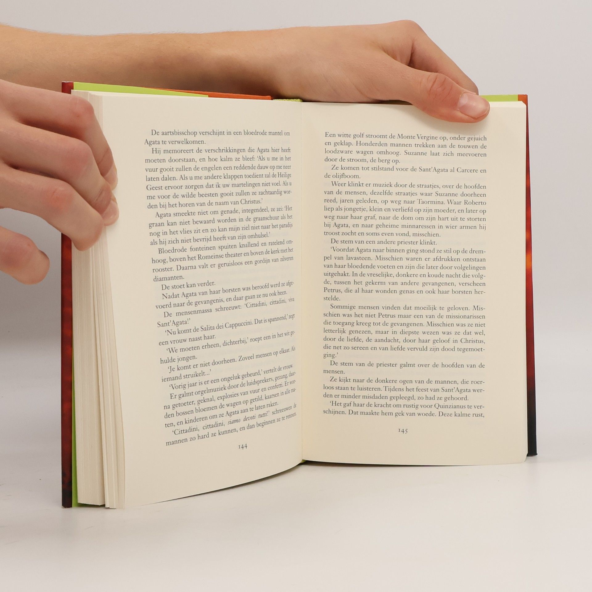 Rosita Steenbeek Siciliaans testament