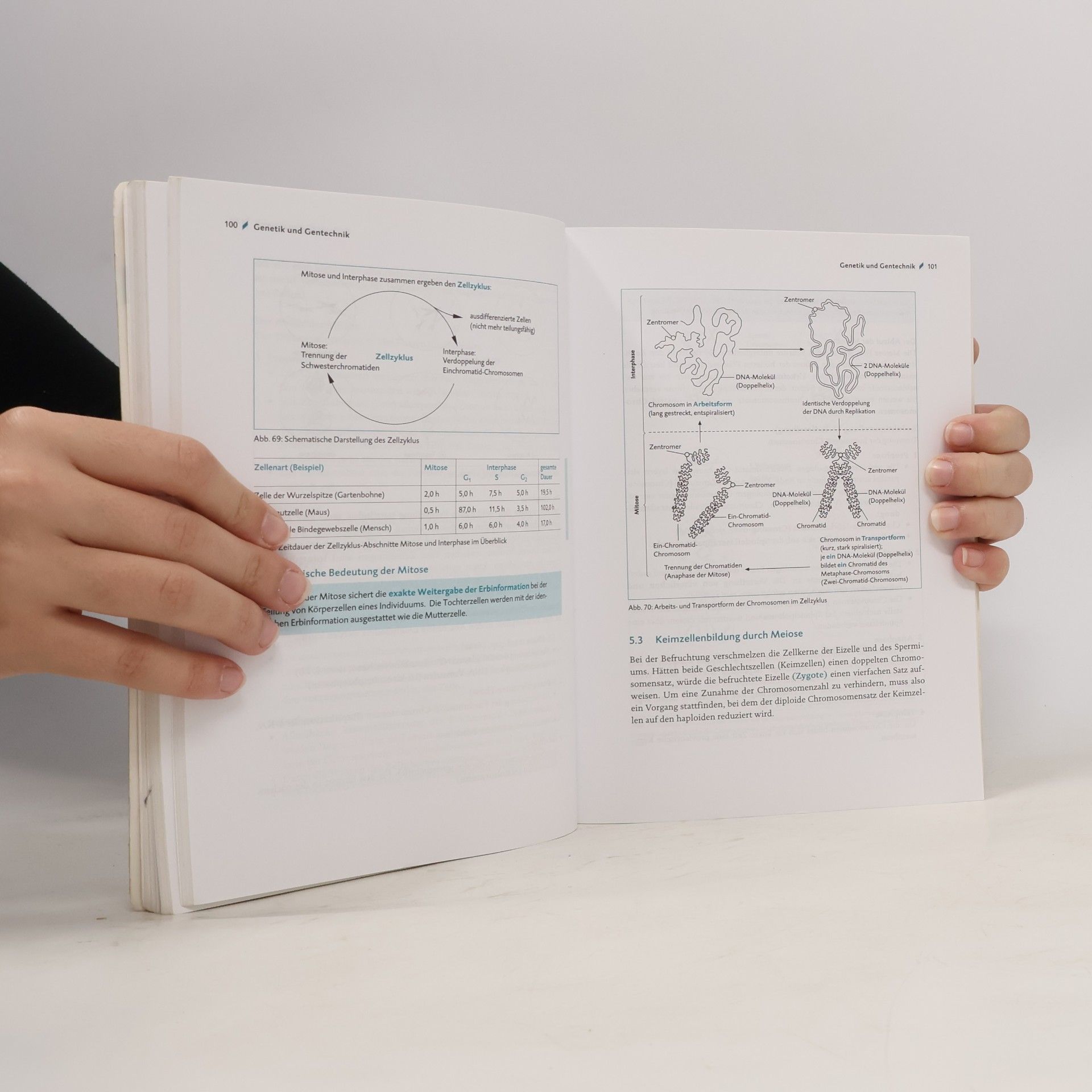 Brigitte Meinhard Biologie Band 1