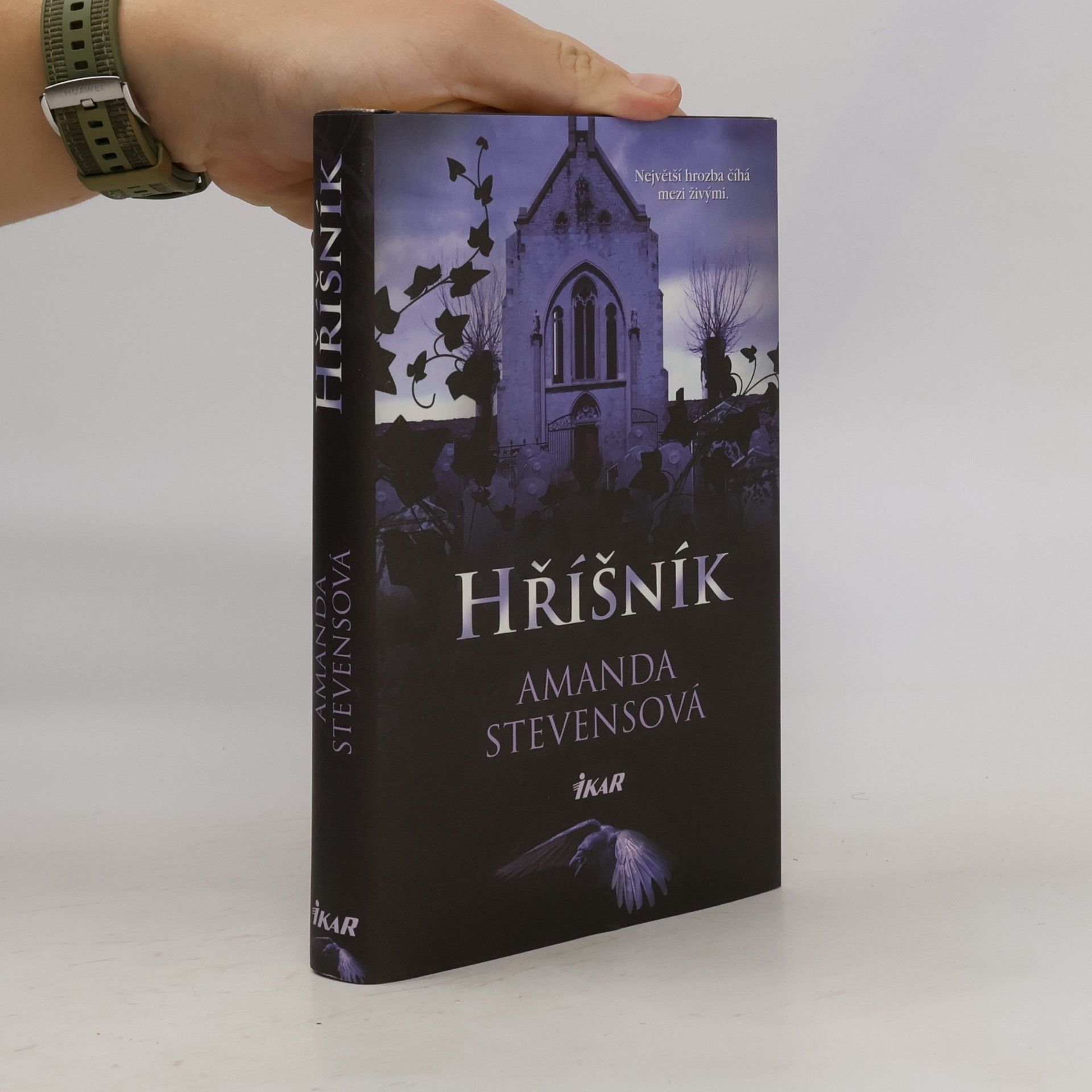 Amanda Stevens Hříšník