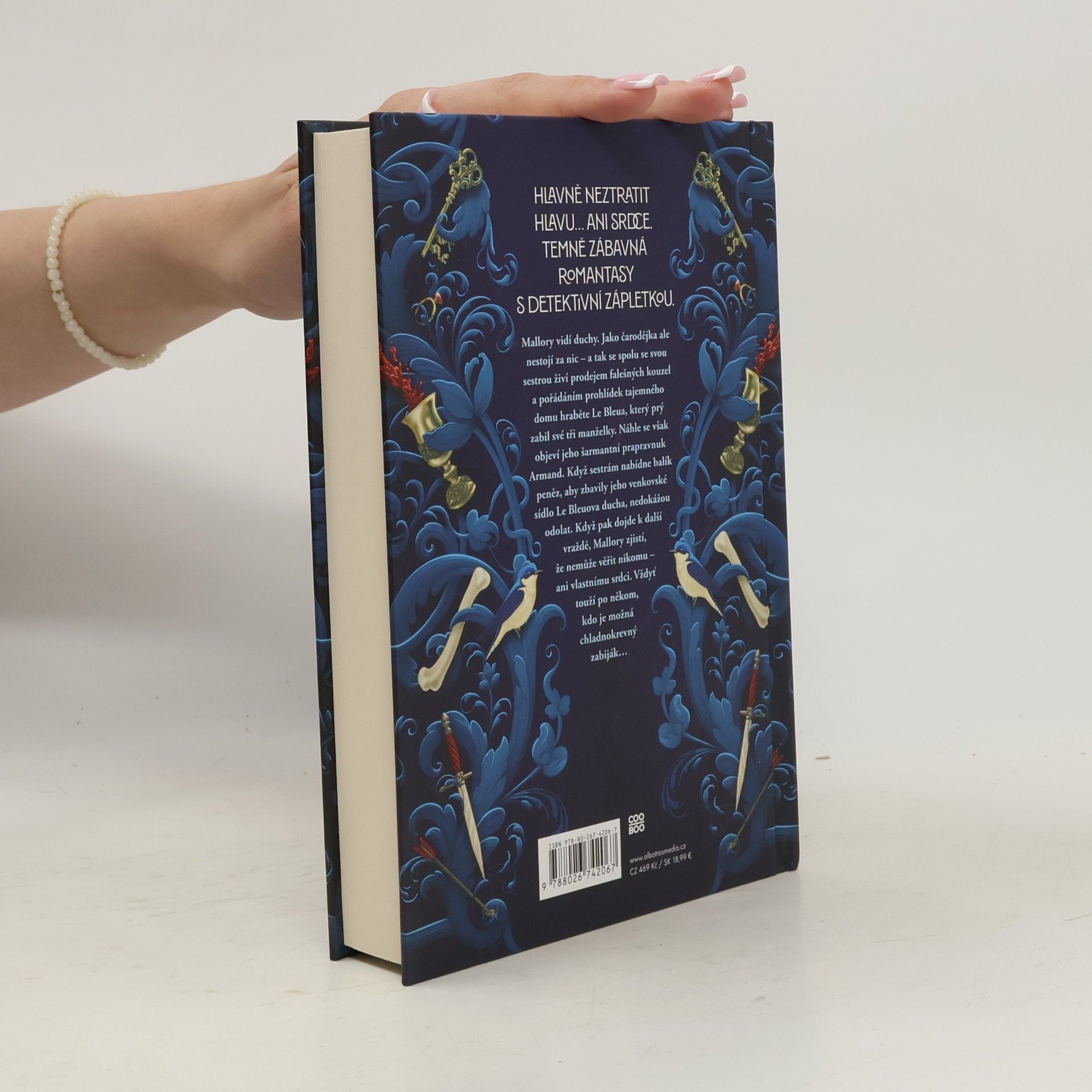 Marissa Meyer Dům rodu Safírů