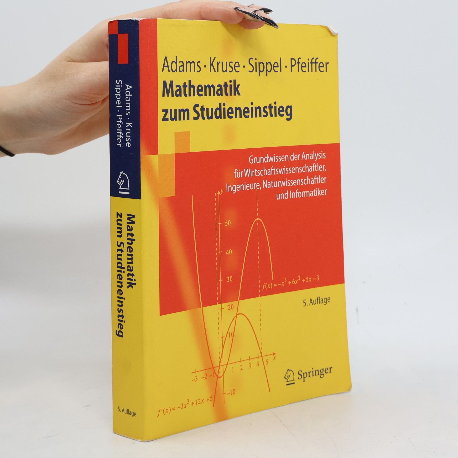 Udo Pfeiffer Springer-Lehrbuch: Mathematik zum Studieneinstieg