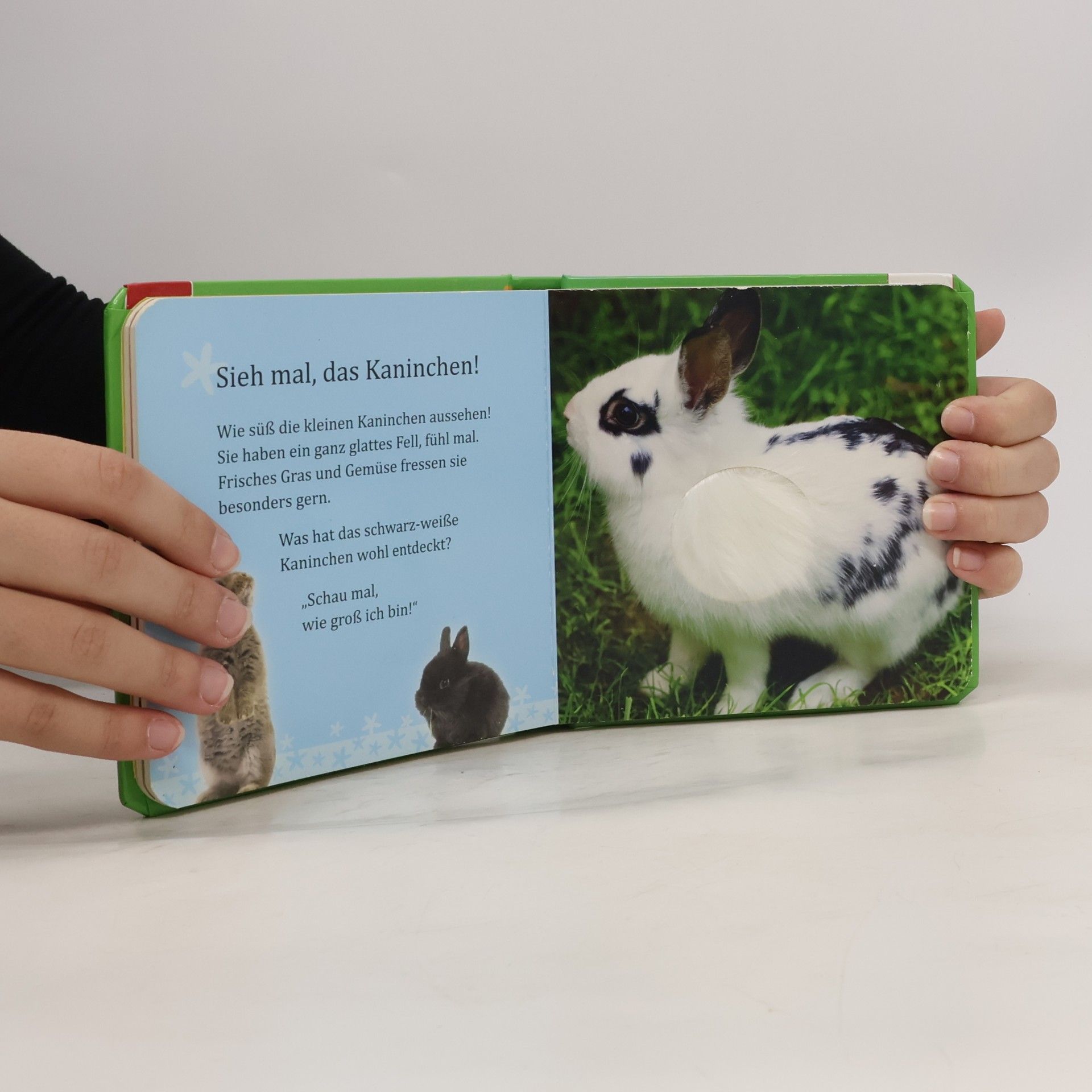 Autorenkollektiv Mein Fühlbuch. Streicheltiere